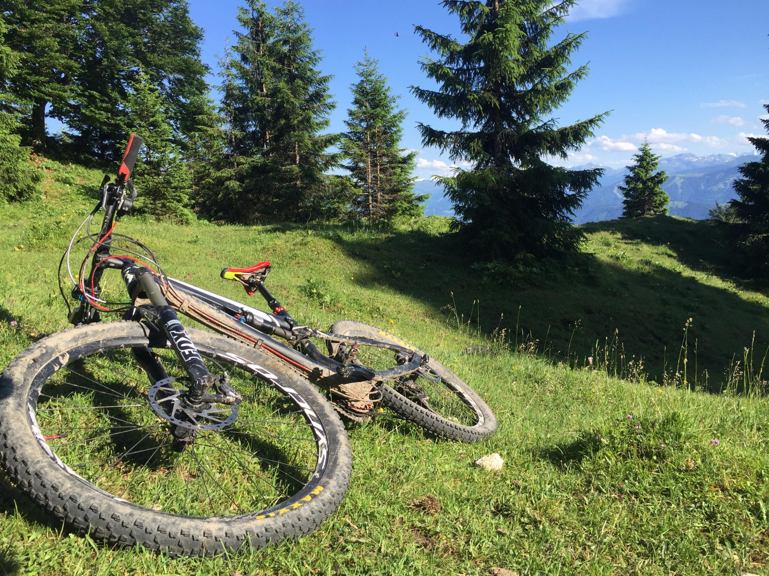 Scott Genius 730 Bike: A mountain bike resting on green grass in a scenic outdoor setting, surrounded by tall trees and mountains in the background under a clear blue sky.