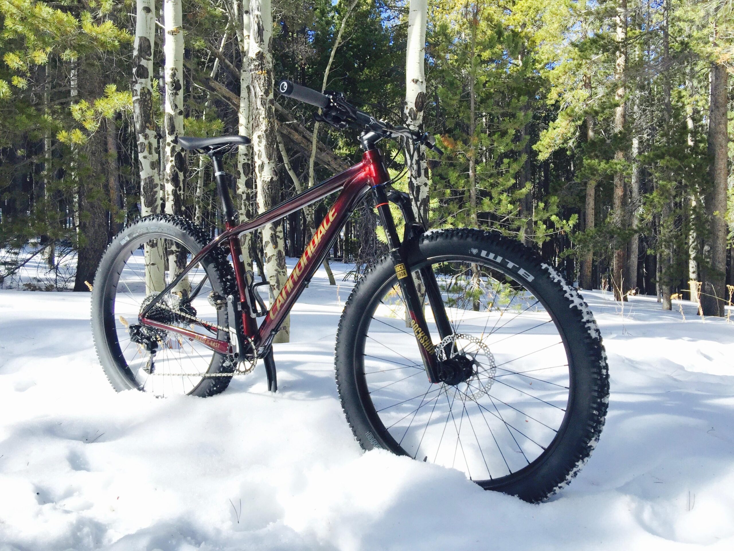 Cannondale Beast of the East: A mountain bike with fat tires is positioned on snow-covered ground in a forest setting, surrounded by snow-laden trees and greenery. The bike's frame is red and black, standing out against the white snow.