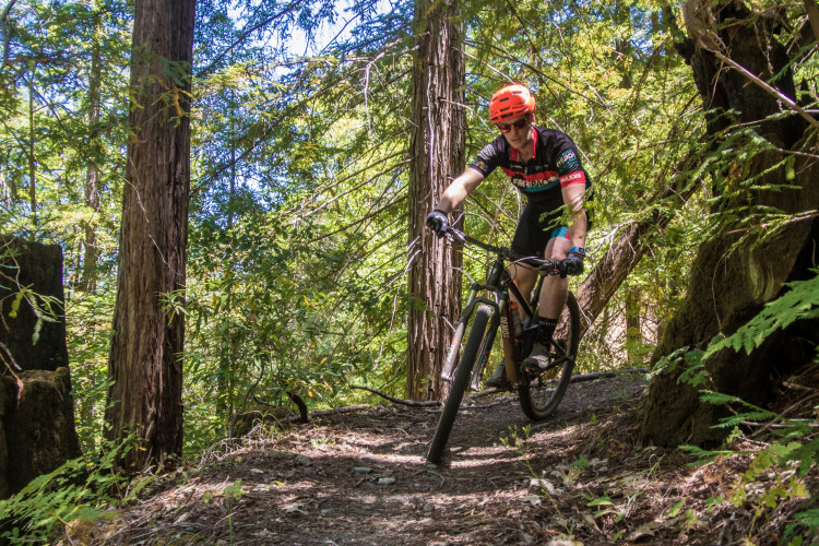 A mountain biker navigating a wooded trail, surrounded by tall trees and dappled sunlight. The cyclist is wearing a black and red jersey and an orange helmet, focusing intently on the path ahead. The trail is narrow and slightly uneven, with patches of sunlight filtering through the leaves.