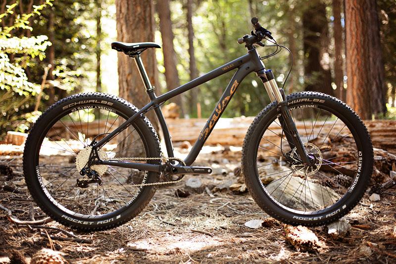Salsa Timberjack: A mountain bike with a sleek black frame, set against a backdrop of tall trees and forest floor. The bike features thick tires designed for off-road terrain, and its gear system is visible, indicating it's built for rugged trails. Sunlight filters through the trees, highlighting the bike's design.