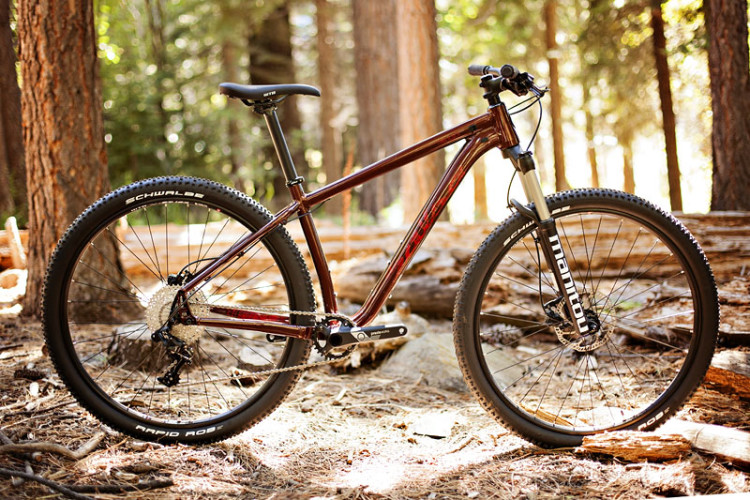 salsa timberjack mountain bike