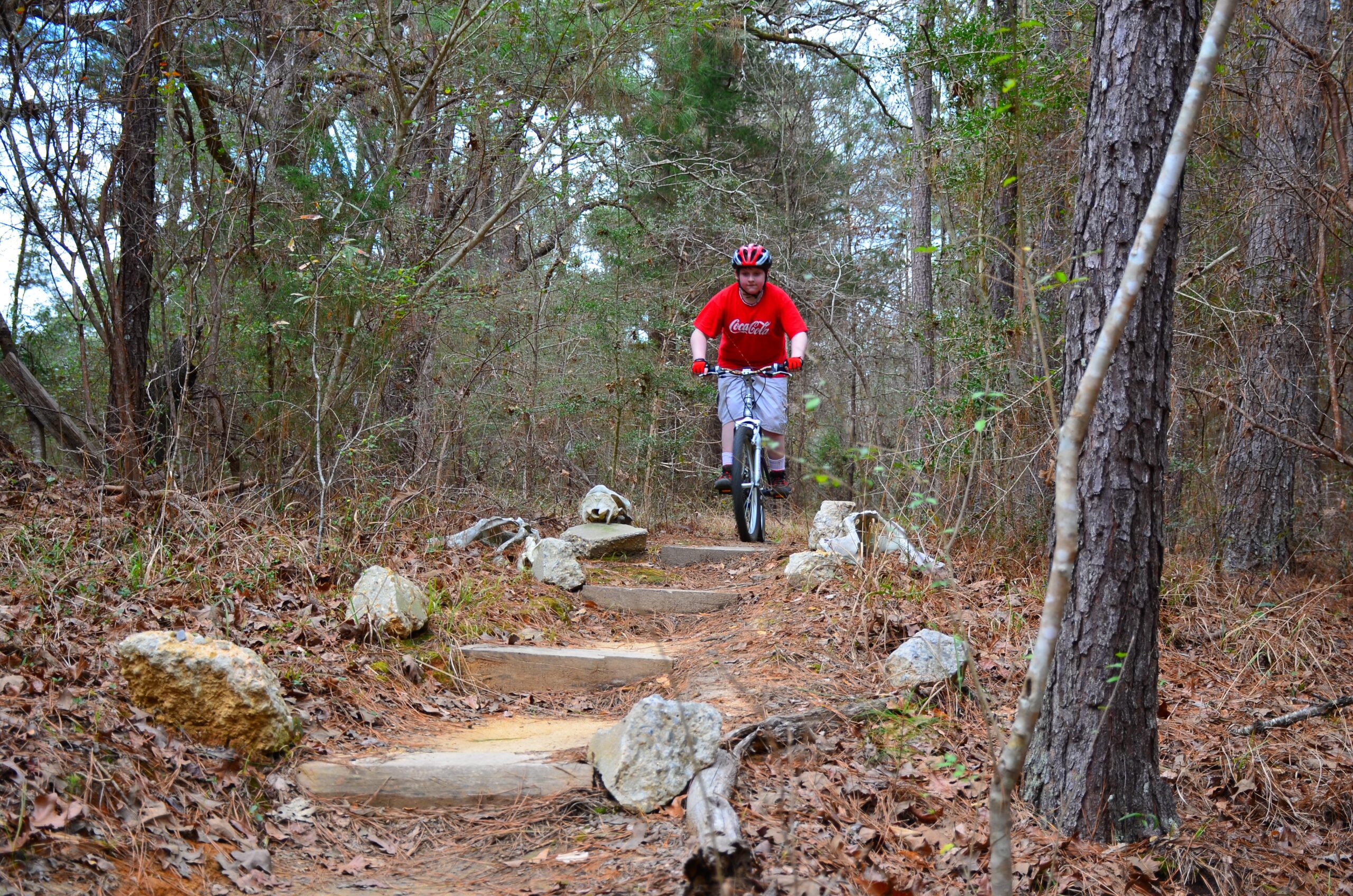 A cyclist wearing a red shirt and helmet rides over a rocky, wooded trail surrounded by trees and fallen leaves. Mt. Zion Bike Trails mountain bike trail.