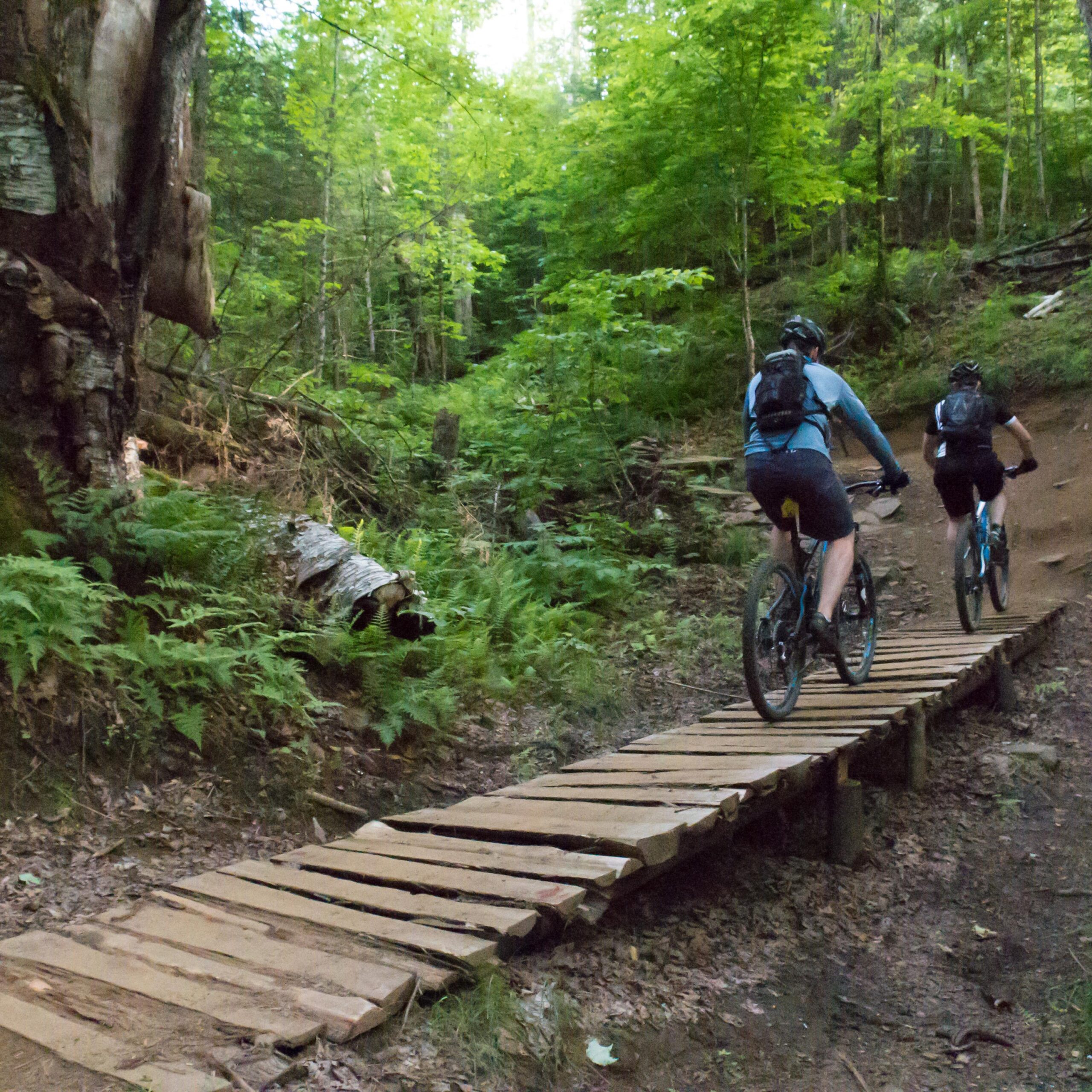 Two mountain bikers riding on a wooden plank bridge through a lush green forest trail, surrounded by trees and ferns. Kingdom Trails mountain bike trail.