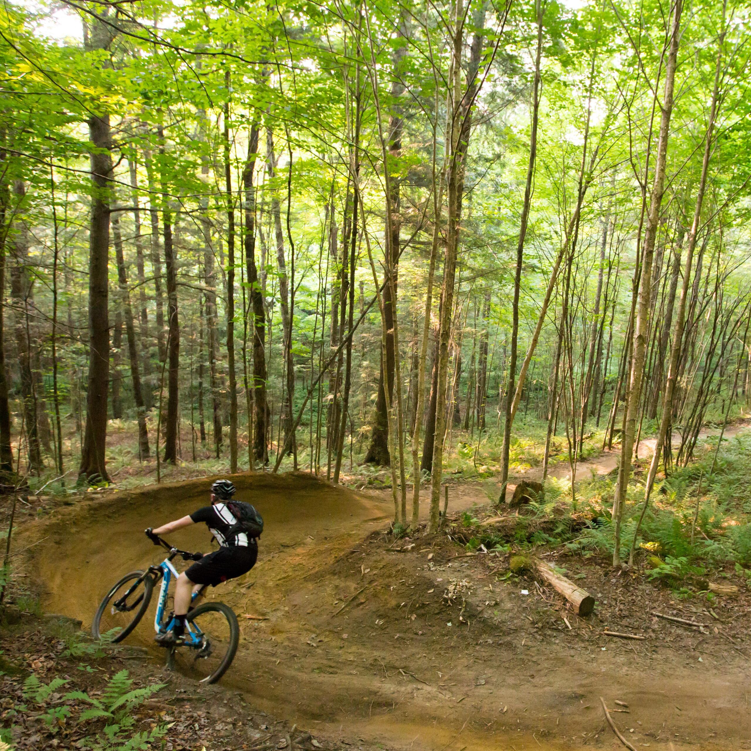 A person riding a mountain bike on a winding dirt trail through a dense green forest. Sunlight filters through the tall trees, illuminating the path and surrounding foliage. The biker is wearing a helmet and riding gear, leaning into a turn as they navigate the course. Kingdom Trails mountain bike trail.