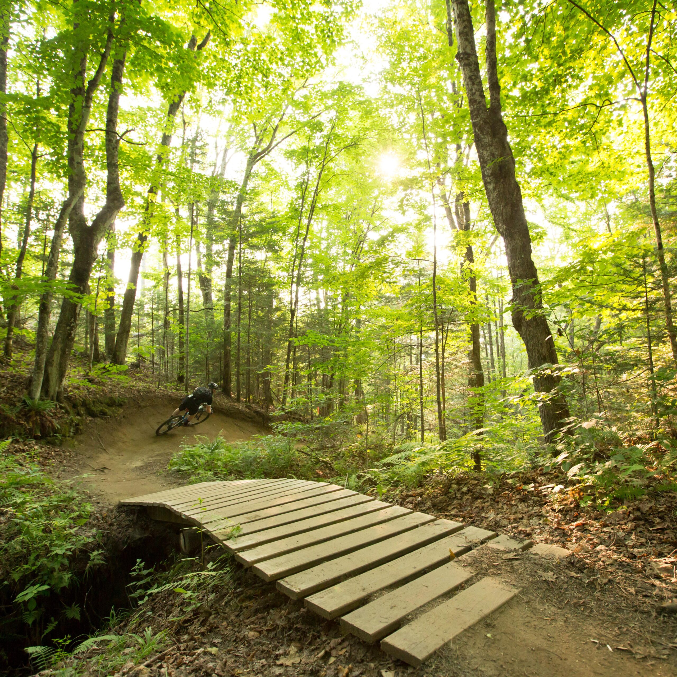 A mountain biker navigates a dirt trail in a lush green forest, leaning into a turn near a wooden bridge. Sunlight filters through the trees, creating a serene and vibrant natural setting. Kingdom Trails mountain bike trail.
