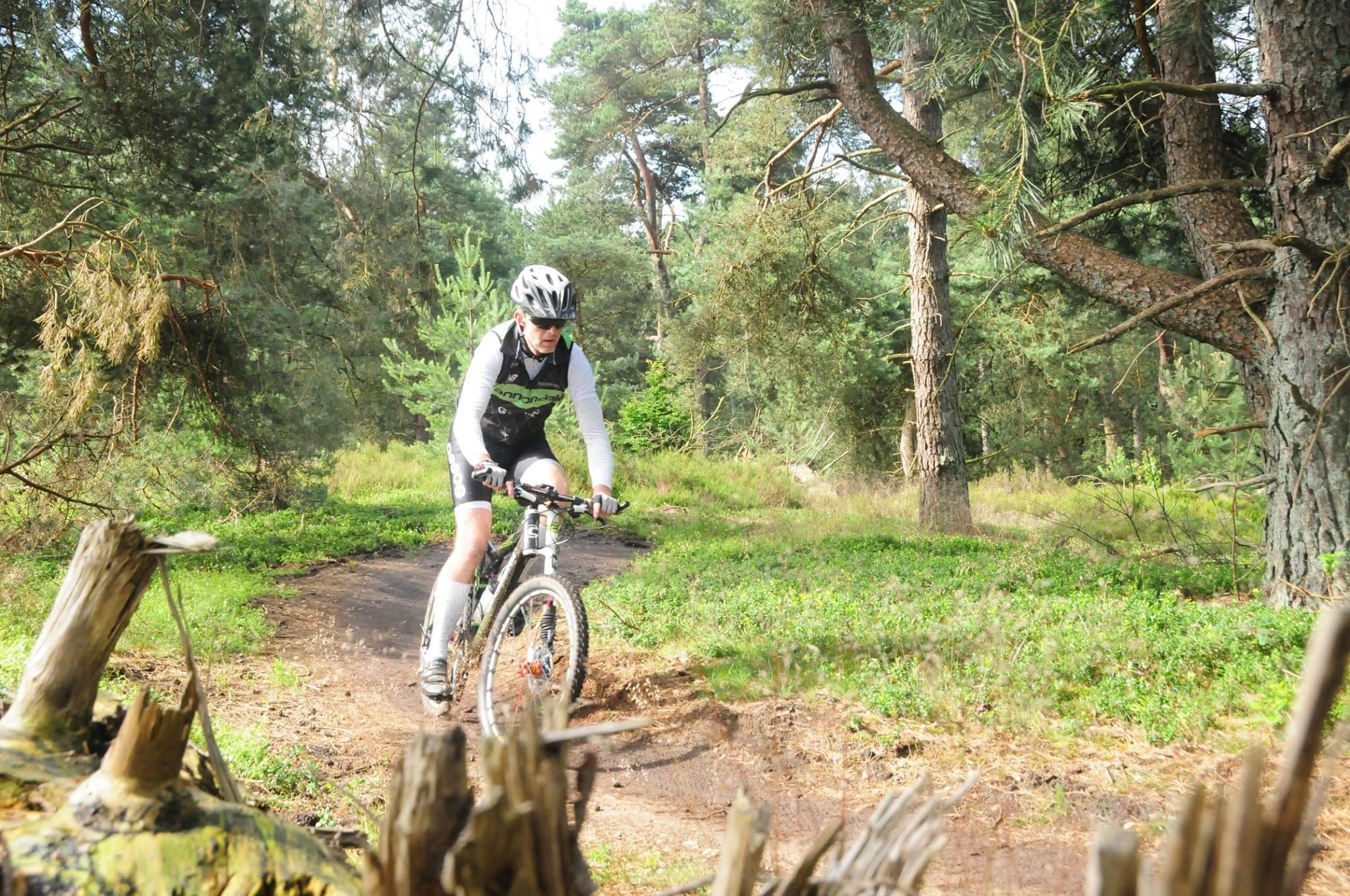 Cannondale Scalpel Carbon 3: A mountain biker in full gear rides along a dirt path in a wooded area, surrounded by tall trees and greenery. The biker is focused and maintains a steady pace on the winding trail.