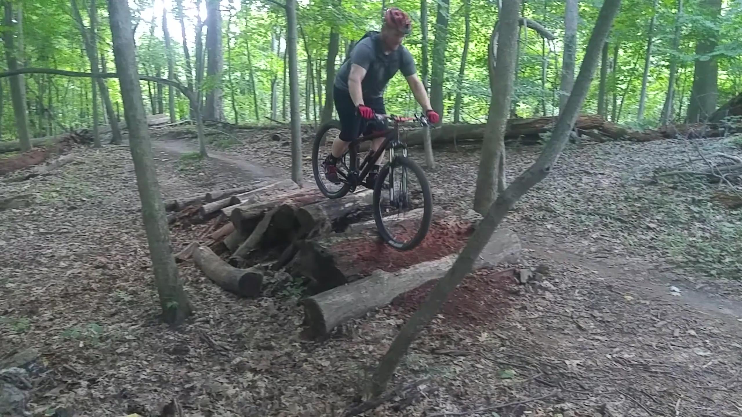 A person riding a mountain bike over a log jump in a wooded trail. The surrounding area is filled with trees and fallen leaves, creating a natural outdoor scene. Novi Tree Farm (Lakeshore Park) mountain bike trail.