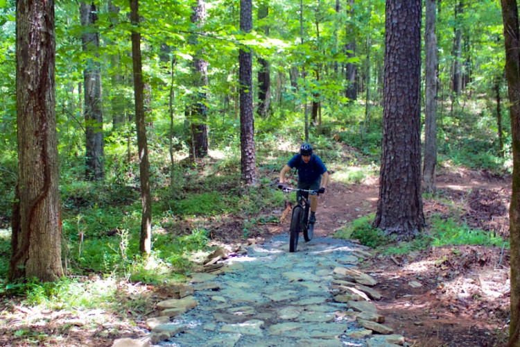 A mountain biker navigates a rocky path in a lush green forest, surrounded by tall trees and dense foliage.