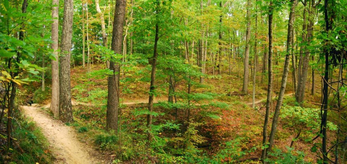 Brown County Park Mountain Bike Trail