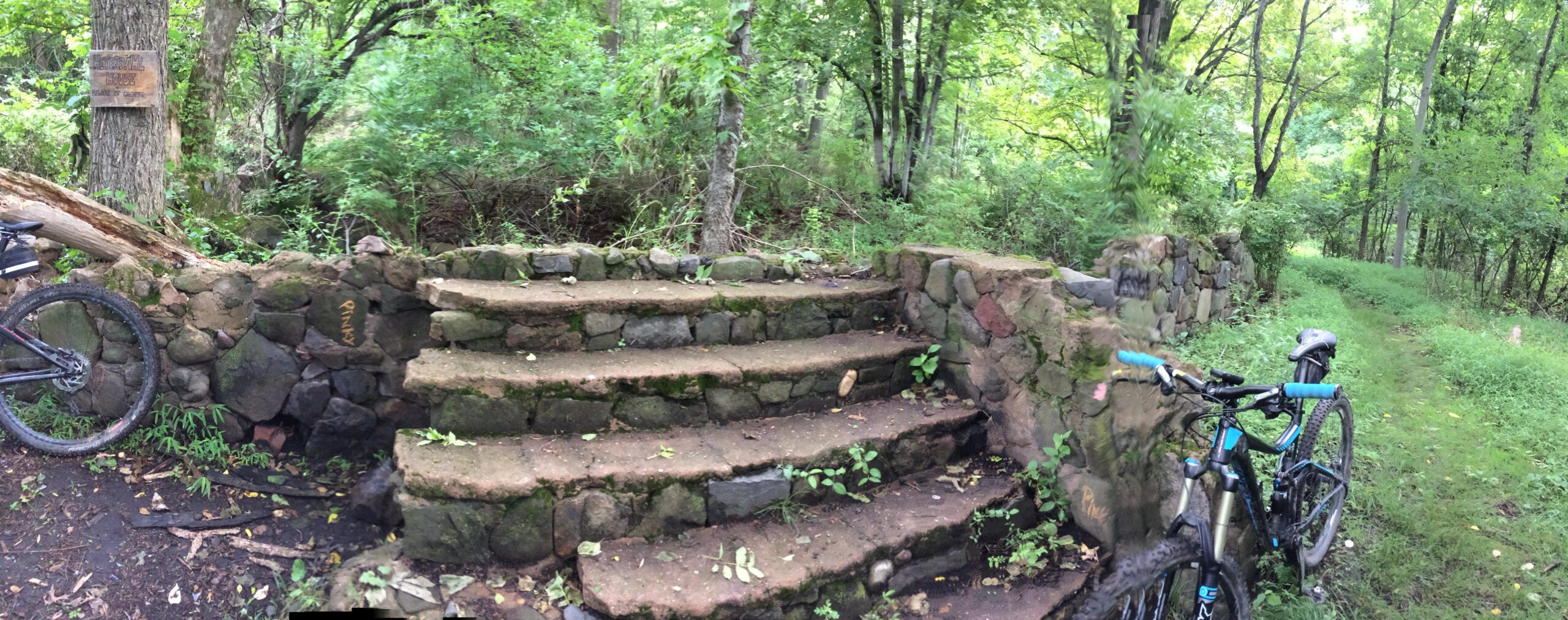 A panoramic view of a rustic stone staircase leading into a wooded area. The staircase is surrounded by lush greenery, with trees and shrubs filling the background. A mountain bike is parked at the left side of the image, partially obscured by foliage. A wooden sign is visible attached to a tree nearby. The scene conveys a sense of adventure and nature. Richmond Avenue and Forest Hill road mountain bike trail.