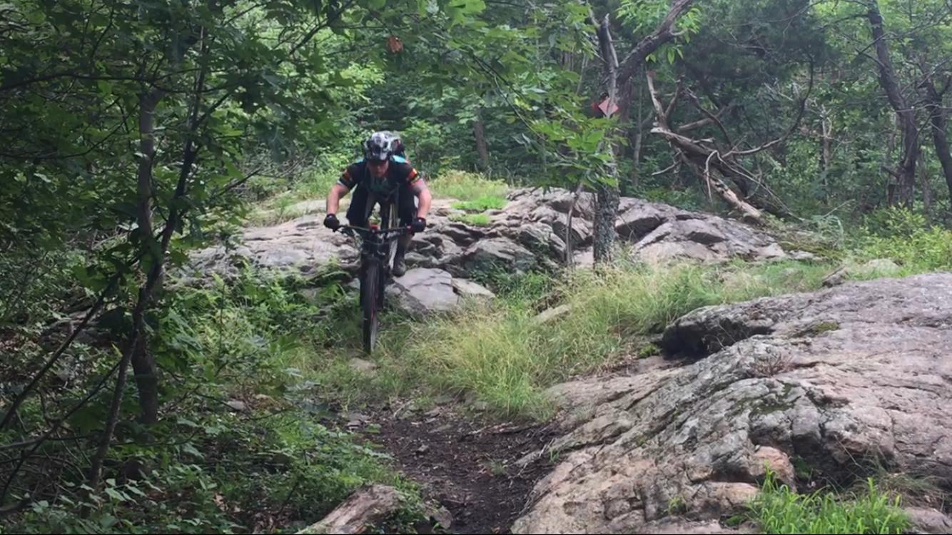 A mountain biker riding over rocky terrain in a forested area, surrounded by greenery and tall grass. The cyclist wears a helmet and riding gear, navigating through a challenging trail. Allamuchy State Park-North mountain bike trail.