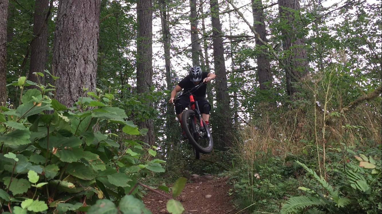 A mountain biker in a black shirt and helmet performs a jump on a dirt trail surrounded by trees and greenery. The biker is mid-air, with the bike's front wheel lifted, showcasing an action-packed moment in a forested setting. Round Lake mountain bike trail.