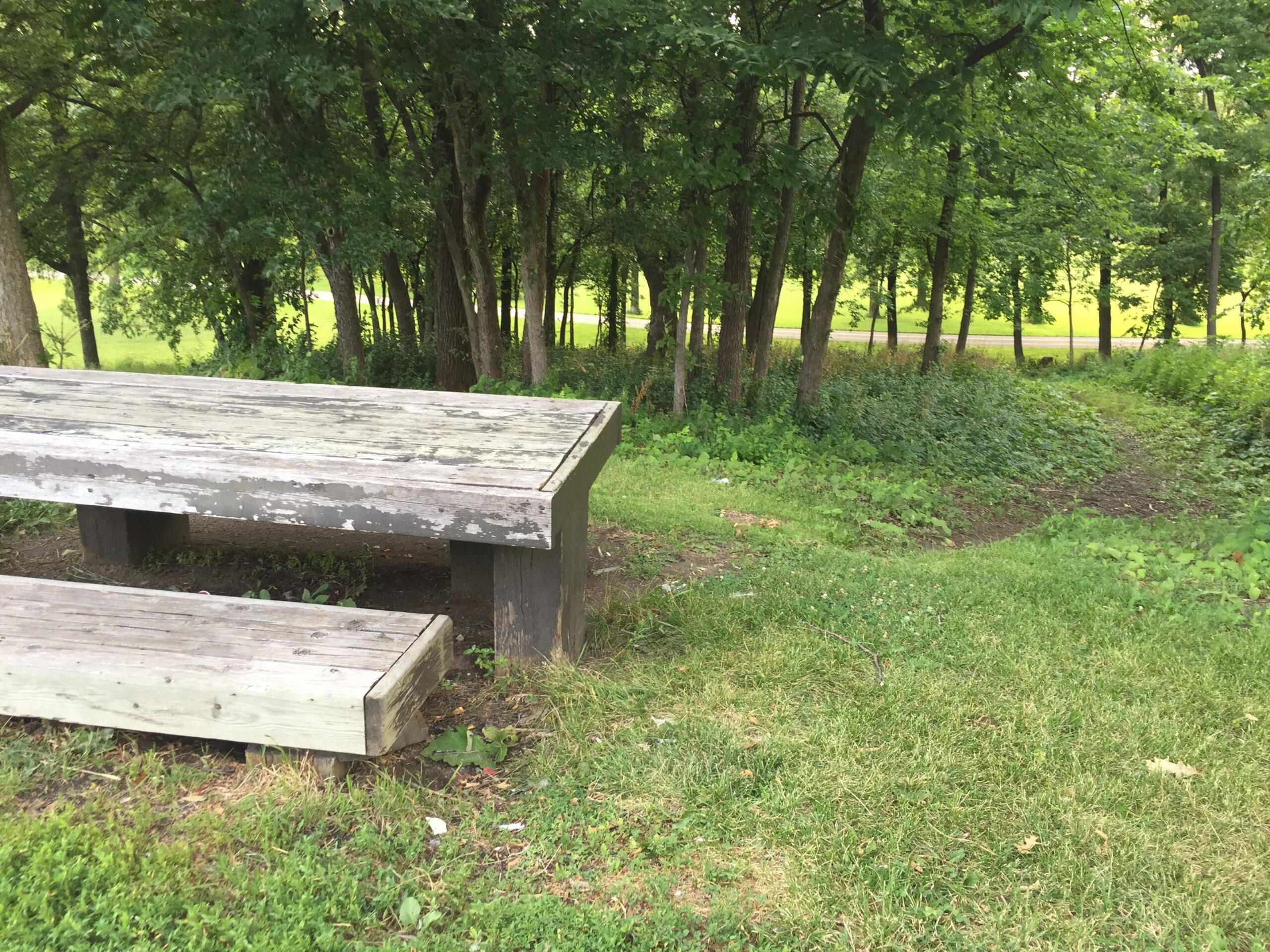 Wooden picnic table and bench in a natural setting, surrounded by trees and greenery, with a grassy area leading toward a path and a road in the background. Valley View Park mountain bike trail.
