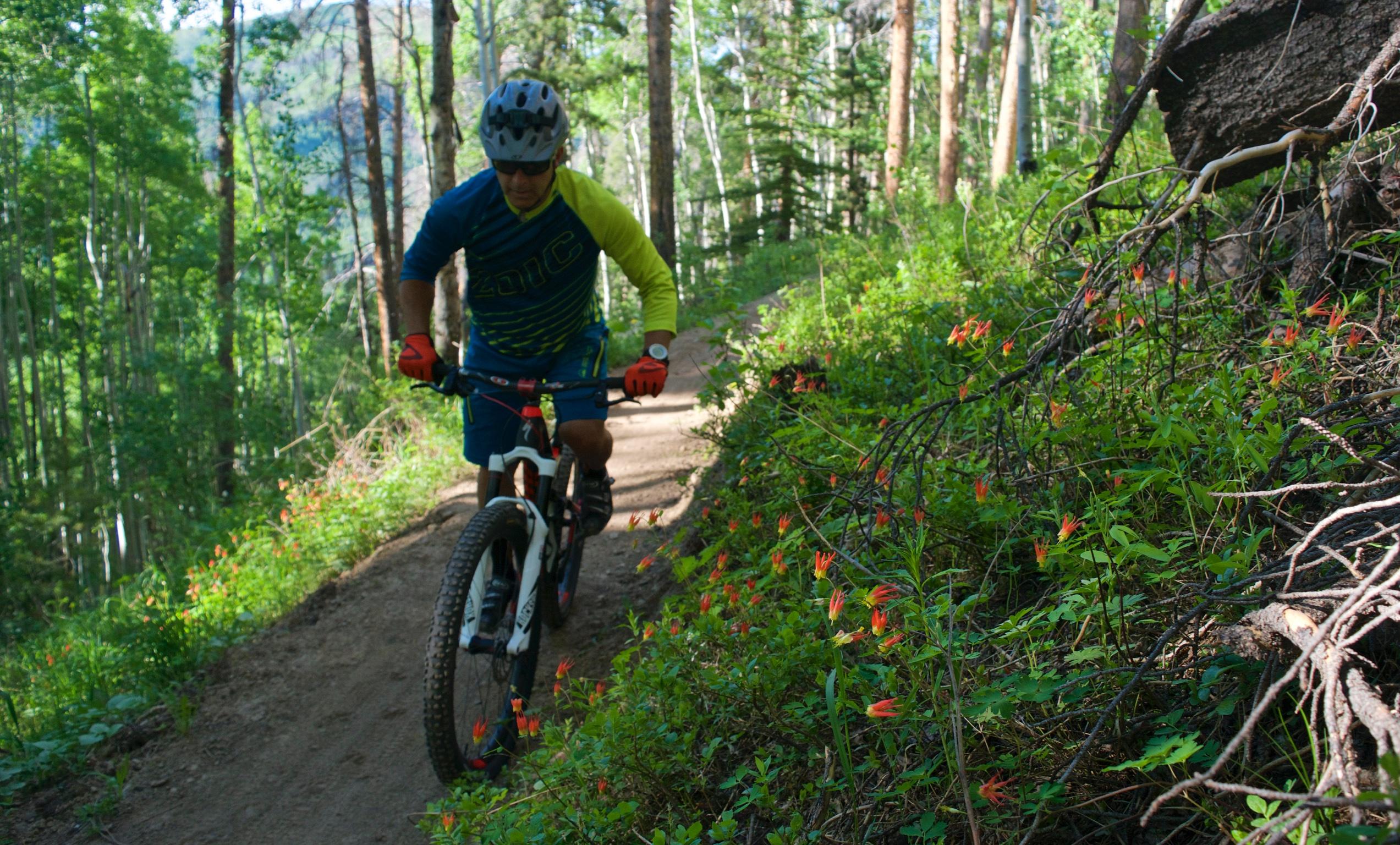 A mountain biker navigating a dirt trail surrounded by green foliage and blooming red flowers in a forest setting. The cyclist, wearing a blue and green jersey and a helmet, rides along a winding path under tall trees. Vail Mountain Bike Park mountain bike trail.