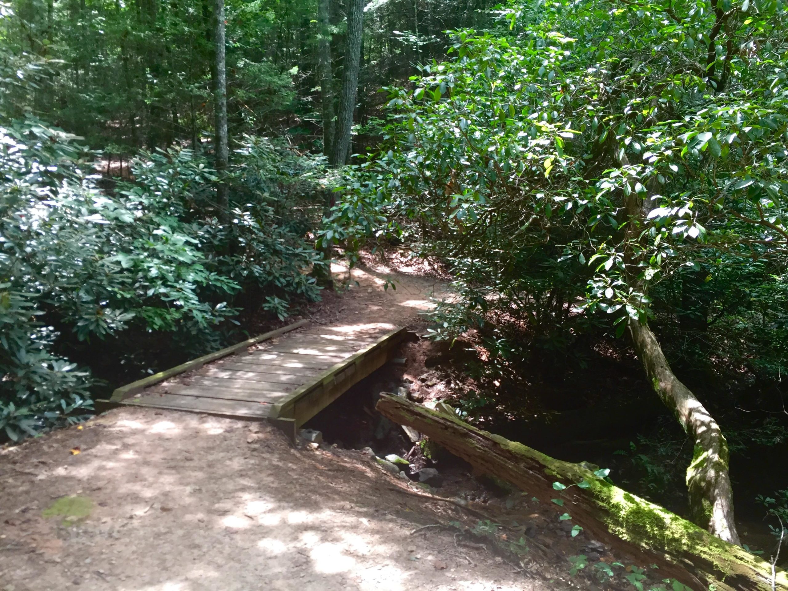 A wooden bridge crossing a small stream, surrounded by dense greenery and tall trees in a forested area. The path leading to the bridge is partly shaded, creating a tranquil and natural atmosphere. Bent Creek mountain bike trail.