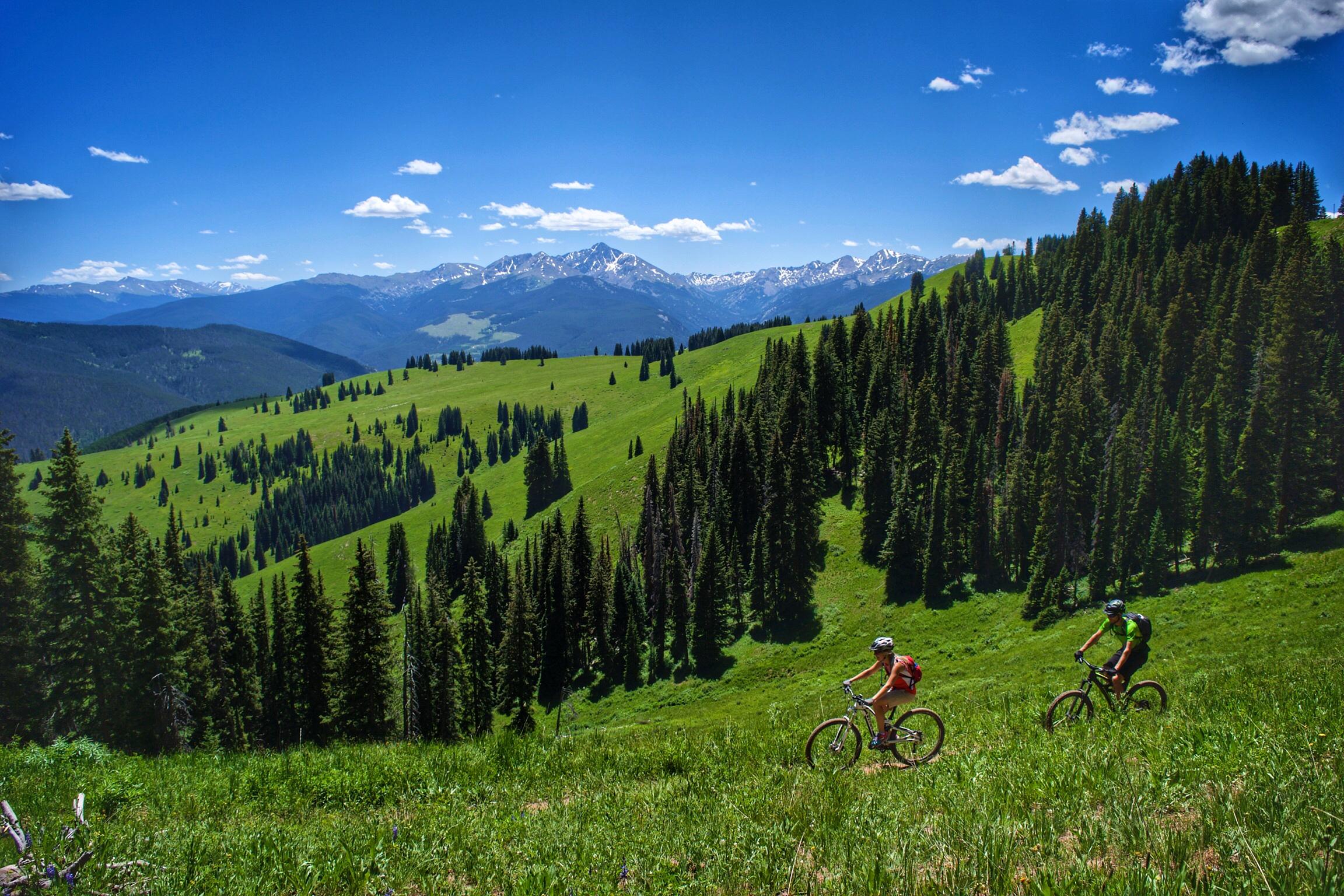 Two mountain bikers riding along a lush green hillside, surrounded by coniferous trees and distant snow-capped mountains under a clear blue sky with scattered clouds. Vail Mountain Bike Park mountain bike trail.