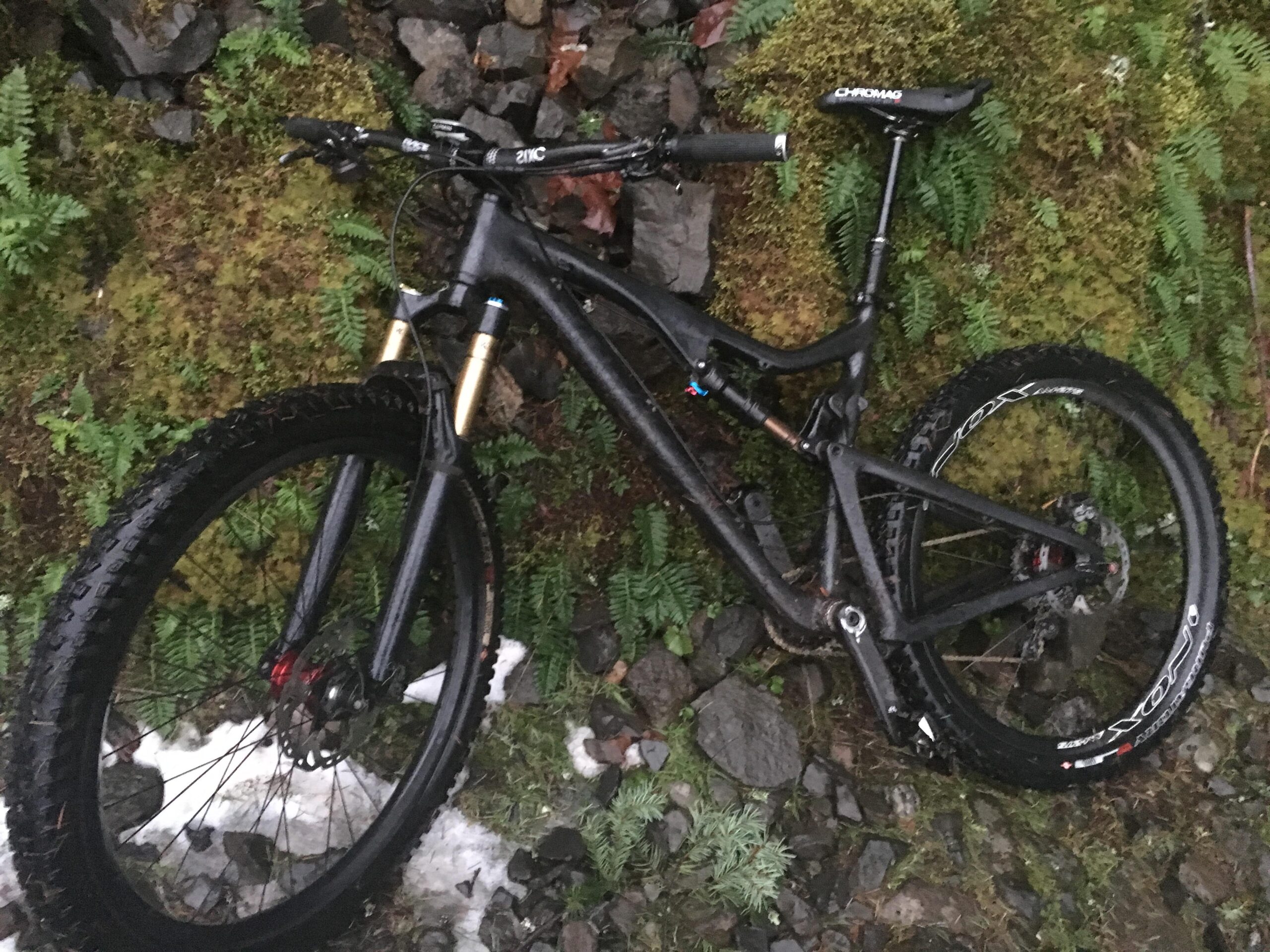 Santa Cruz Bronson C: A black mountain bike with thick tires and front suspension, resting on a bed of ferns and rocky terrain, with some snow visible in the background.