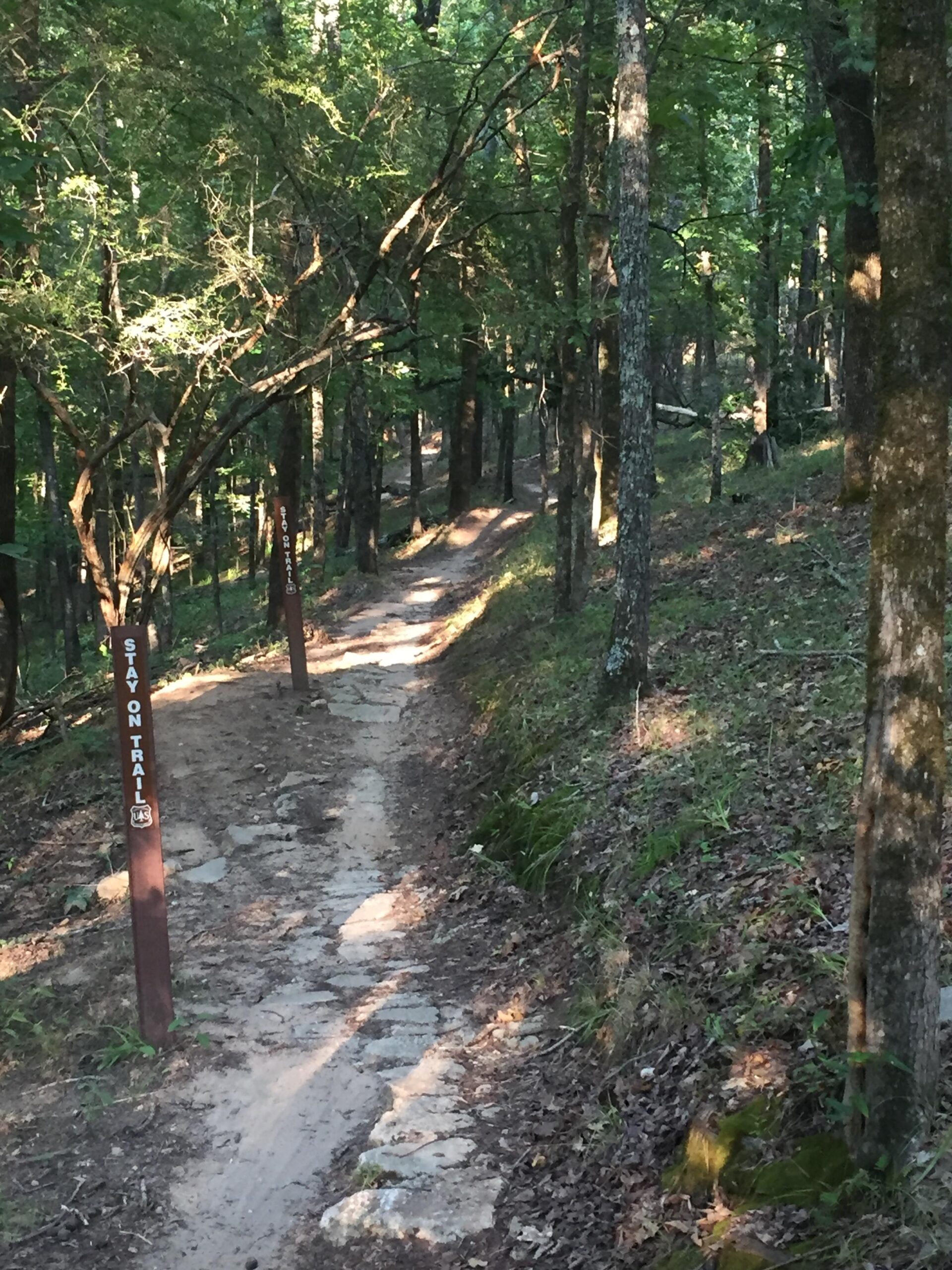 A dirt trail winding through a lush green forest, lined with trees. A wooden sign beside the path reads "STAY ON TRAIL." Sunlight filters through the leaves, casting dappled shadows on the ground. Forks Area Trail System (FATS) mountain bike trail.