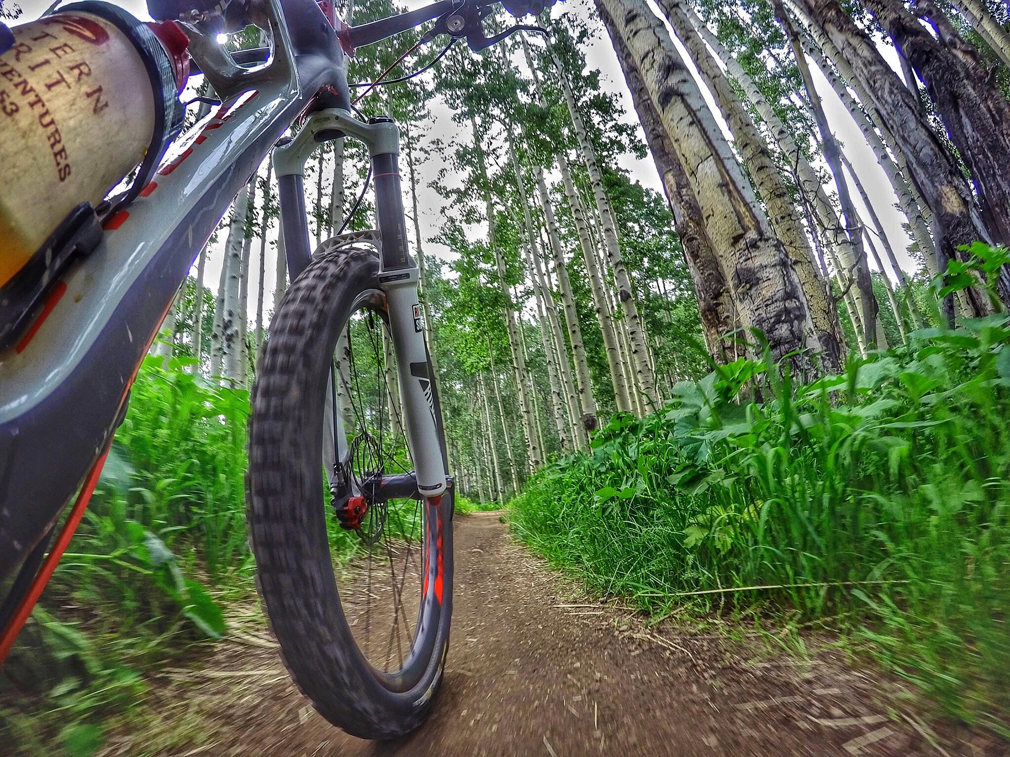 A close-up view of a mountain bike riding along a dirt trail surrounded by tall aspen trees and lush green foliage. The perspective shows the bike's front wheel and frame, emphasizing the motion through the scenic forest environment. Vail Mountain Bike Park mountain bike trail.