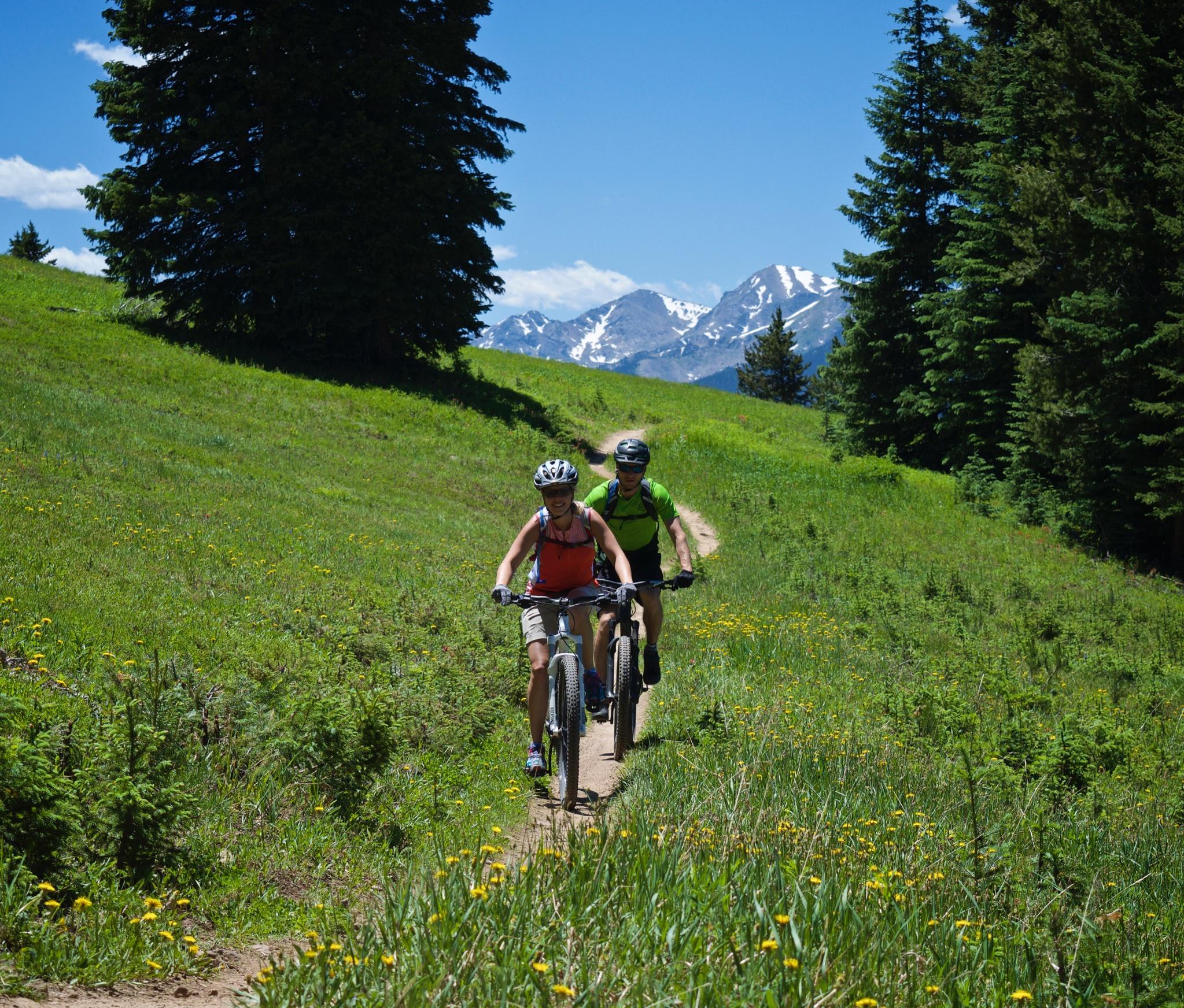 Two mountain bikers ride along a dirt trail through a lush green meadow with wildflowers, surrounded by tall trees and a mountain range in the background under a clear blue sky. Vail Mountain Bike Park mountain bike trail.