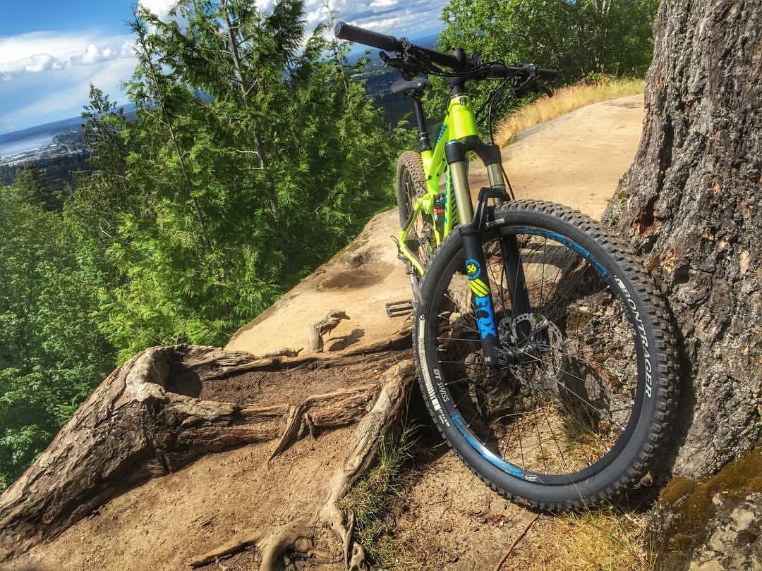 Trek Remedy 9.8 27.5/650b: A bright green mountain bike resting against a large tree trunk on a dirt trail, surrounded by lush green foliage and a scenic view of the landscape in the background under a partly cloudy sky.
