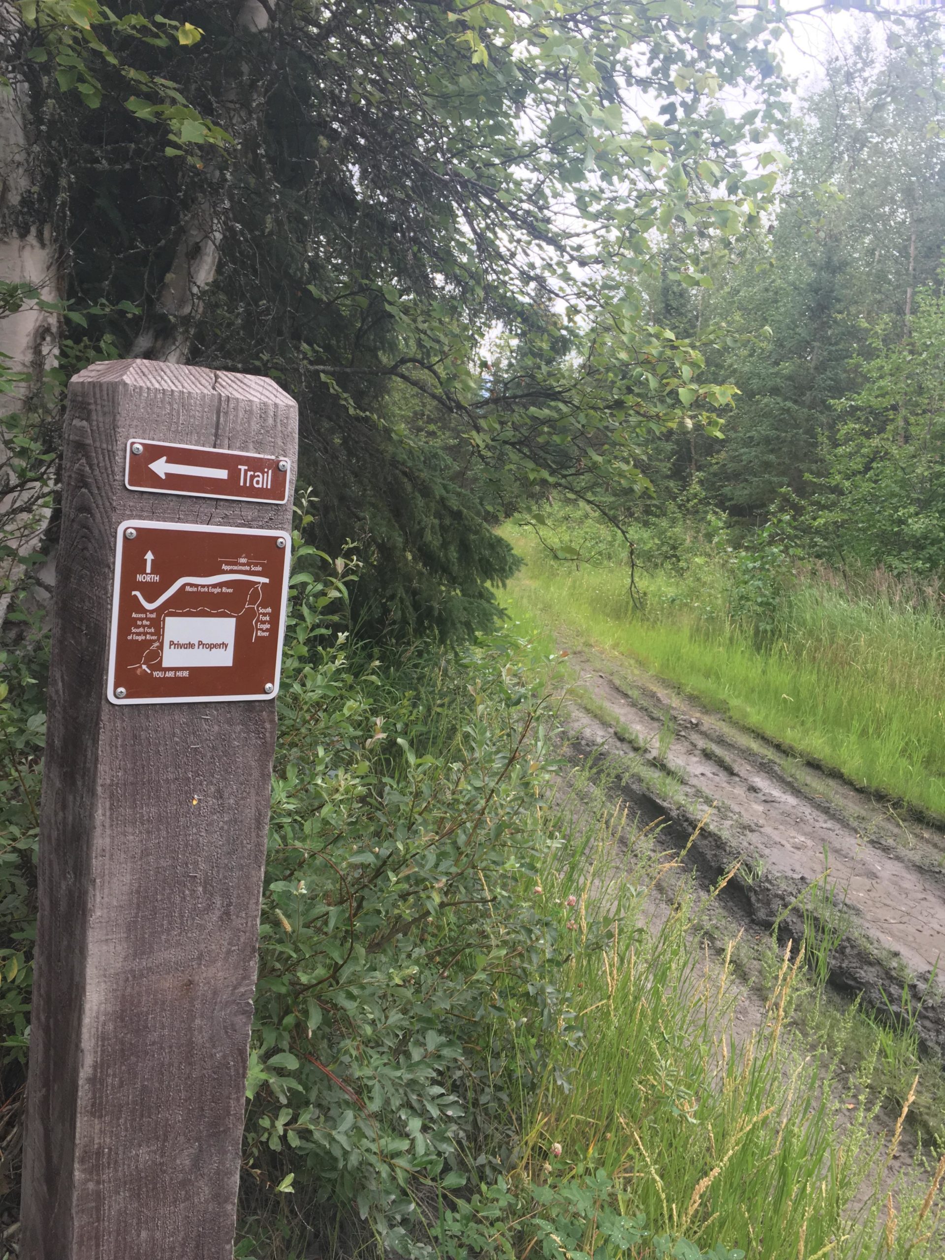 A wooden trail sign indicating a path ahead, with directional arrows. The sign features a map section and notes about private property. Lush green vegetation and tall grasses surround the muddy trail, suggesting a natural outdoor setting. Lower Eagle River Trail mountain bike trail.