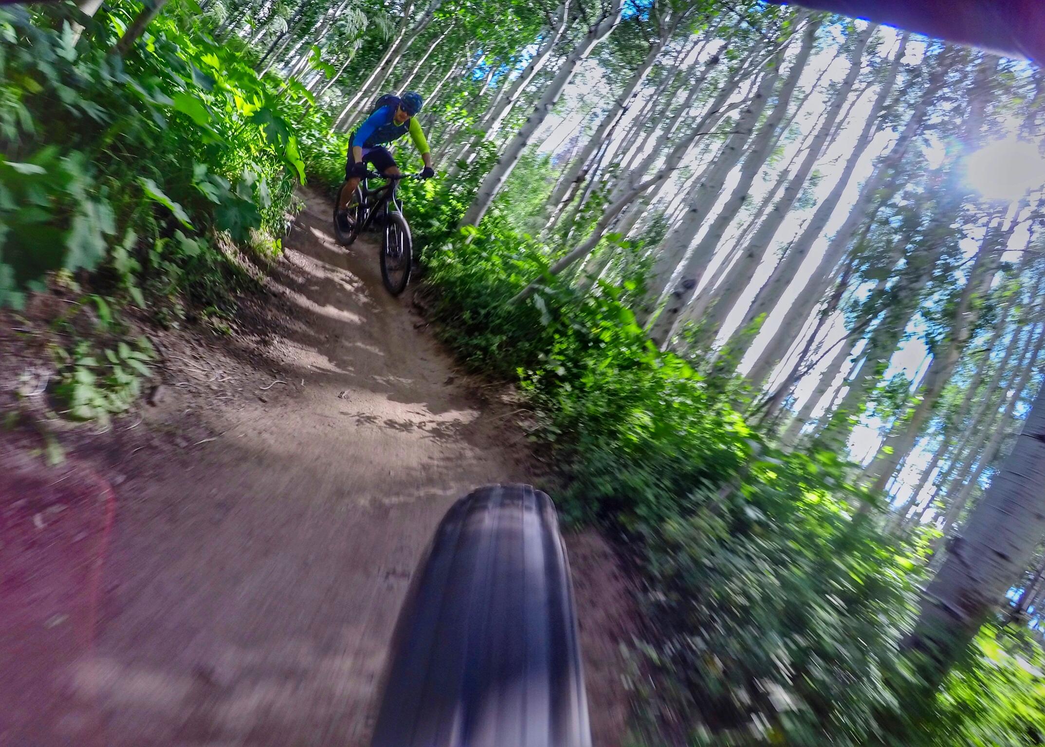 A mountain biker navigating a winding dirt trail surrounded by lush greenery and tall, bright white trees on a sunny day. The image captures the motion of biking and the vibrant natural environment. Vail Mountain Bike Park mountain bike trail.