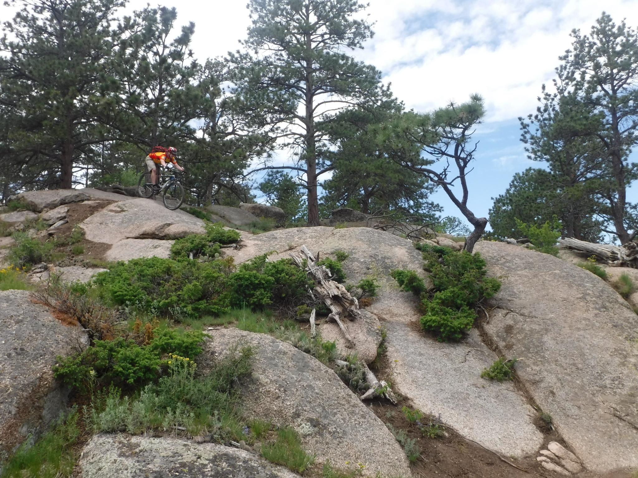 Giant Anthem: A mountain biker riding over rocky terrain surrounded by trees and greenery under a partly cloudy sky.