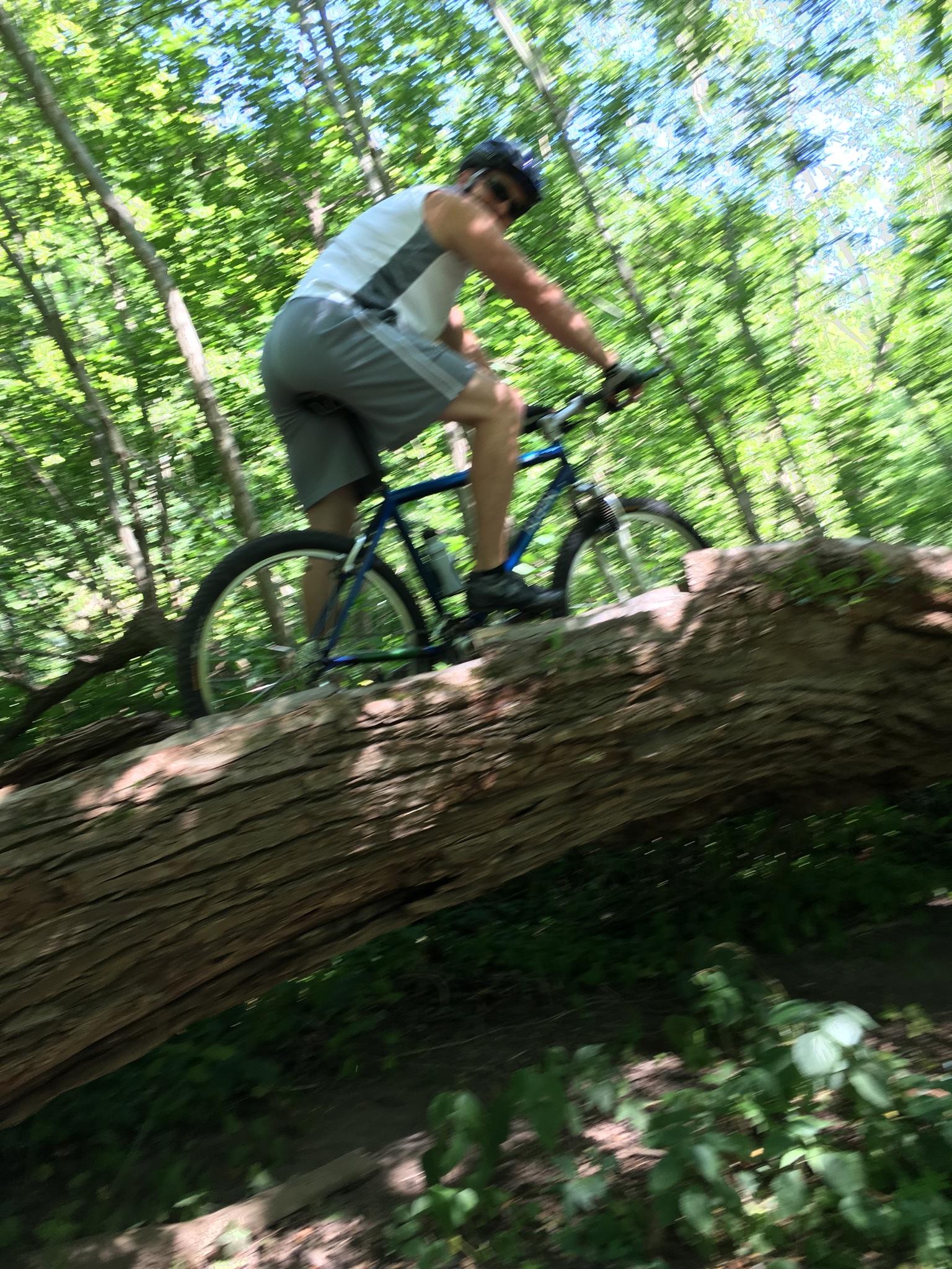 Klein Race: A cyclist riding a mountain bike over a fallen tree trunk in a lush green forest, with sunlight filtering through the leaves. The image is slightly blurred, suggesting motion.