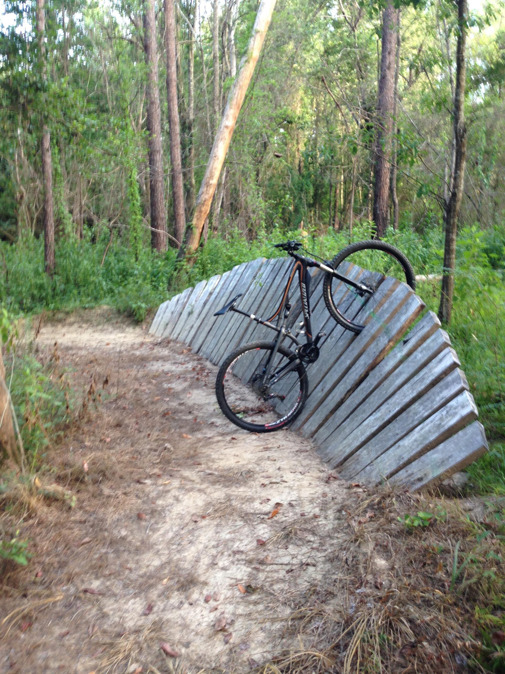A mountain bike resting on a sloped wooden ramp beside a dirt trail, surrounded by lush greenery and tall trees in a forest setting. Mt. Zion Bike Trails mountain bike trail.