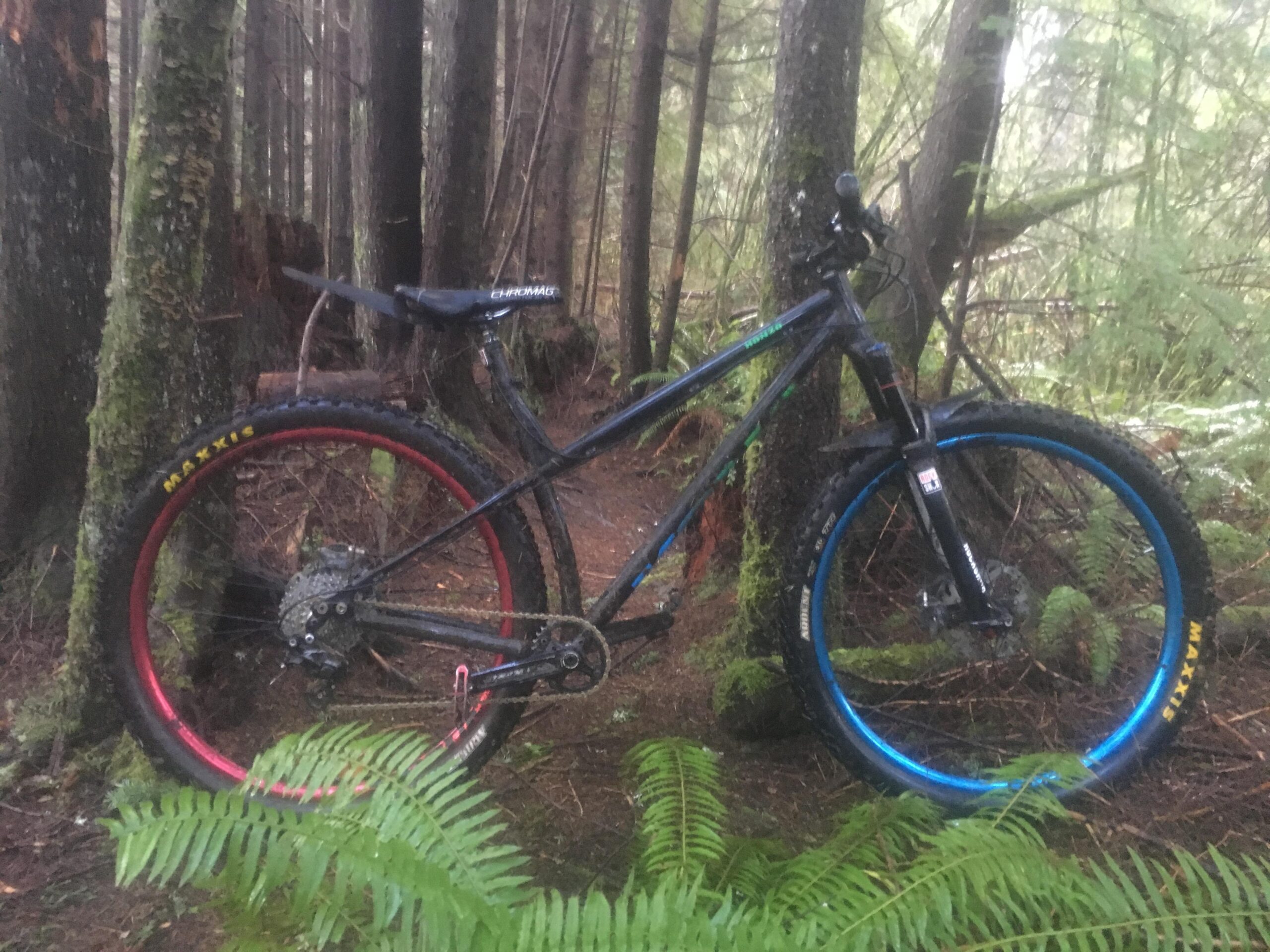 Kona Honzo: A mountain bike with a black frame and brightly colored wheels rests against a tree in a lush, green forest. The bike features red and blue rims, and the ground is covered with ferns and moss. The setting appears misty and damp, suggesting a serene, natural environment.