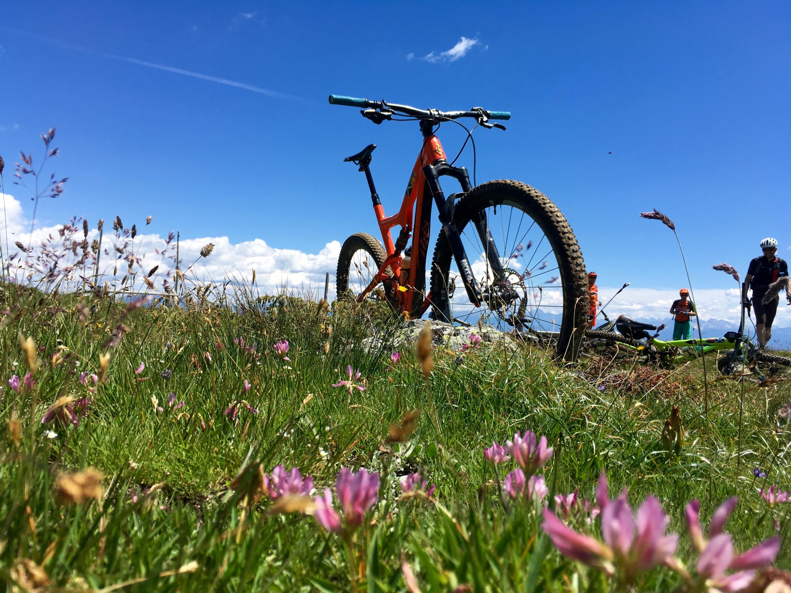 Ibis Ripley: A mountain bike stands prominently in a grassy field adorned with colorful wildflowers under a clear blue sky. In the background, two cyclists are visible, enjoying their outdoor adventure amidst a scenic landscape.