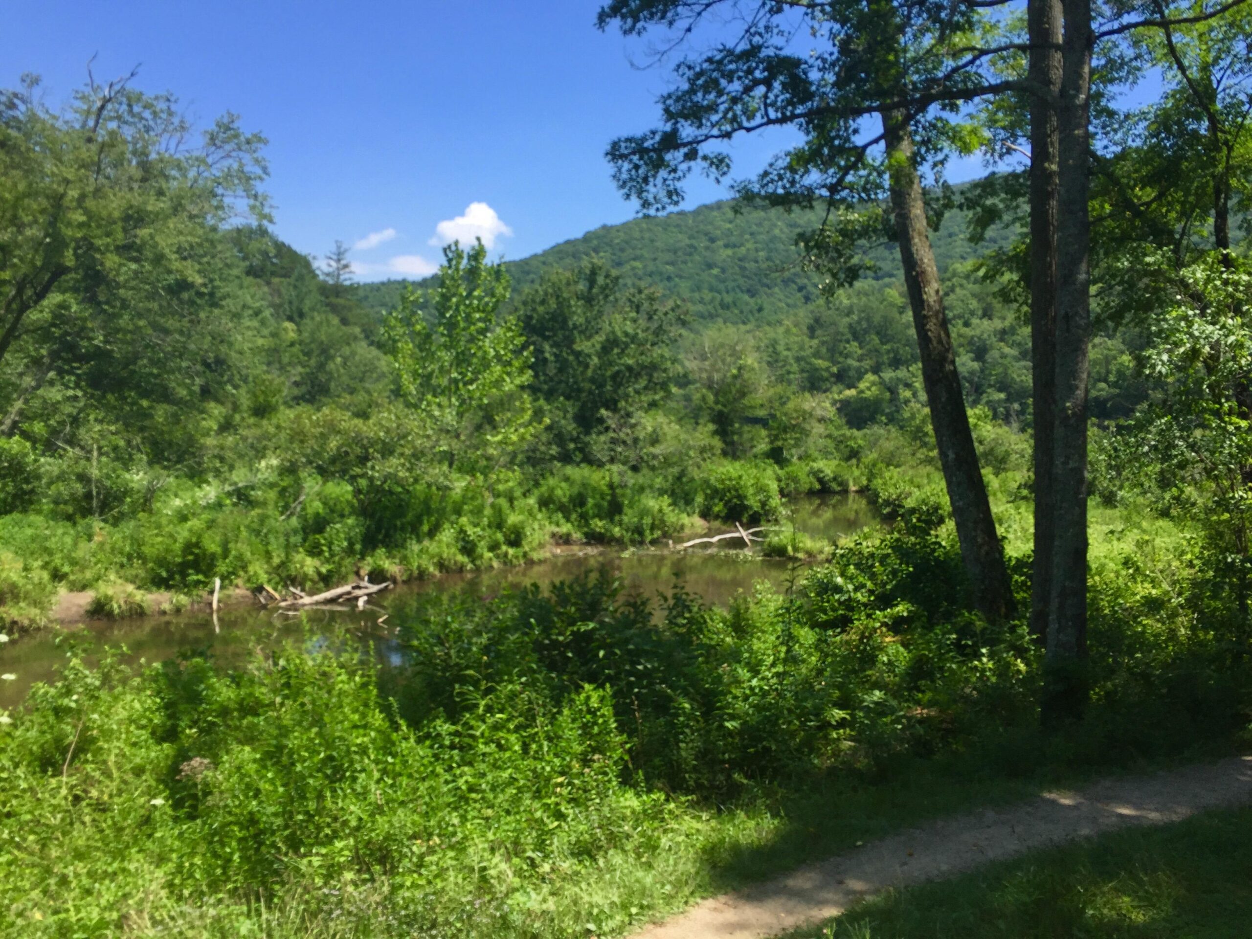 A serene landscape featuring a winding river surrounded by lush greenery, with tall trees and rolling hills in the background under a clear blue sky. A path runs alongside the river, inviting exploration of the natural scenery. Bent Creek mountain bike trail.