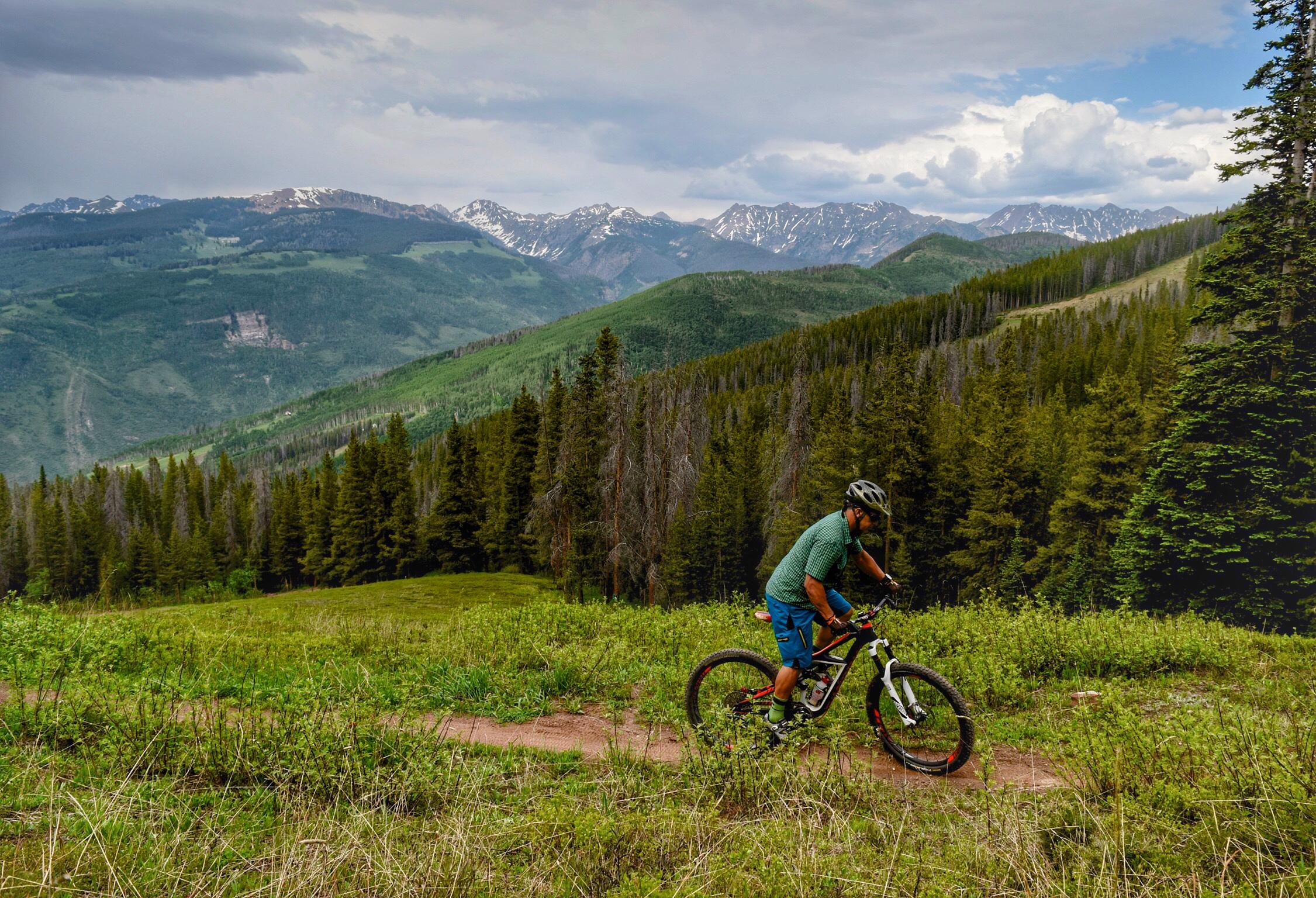 A mountain biker rides along a dirt path surrounded by lush green grass and dense pine trees, with snow-capped mountains in the distance under a partly cloudy sky. Vail Mountain Bike Park mountain bike trail.