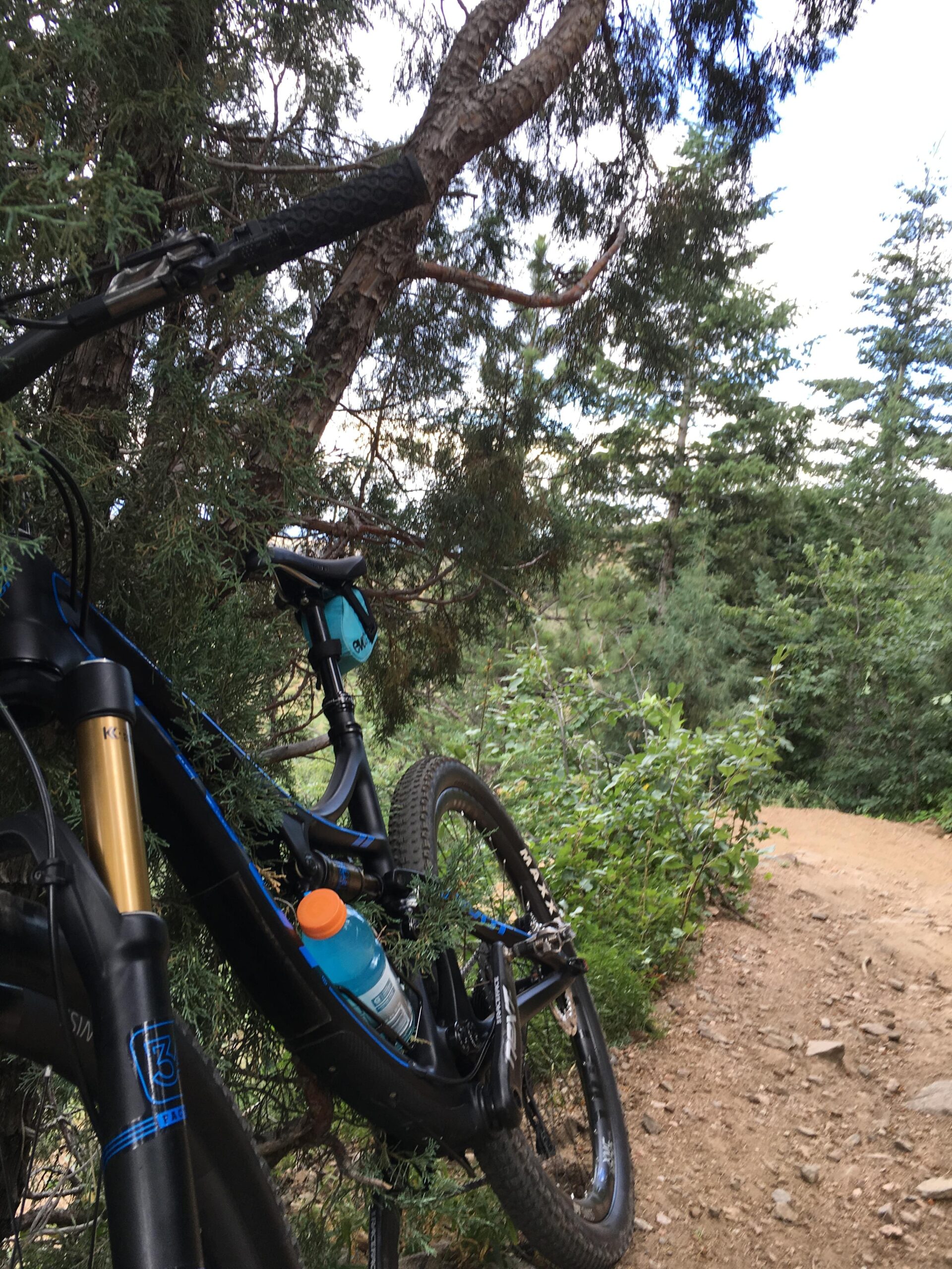 A mountain bike leaning against a bush on a dirt path, surrounded by trees and greenery, with a sports drink bottle visible in the bike's frame. Chimney Gulch mountain bike trail.