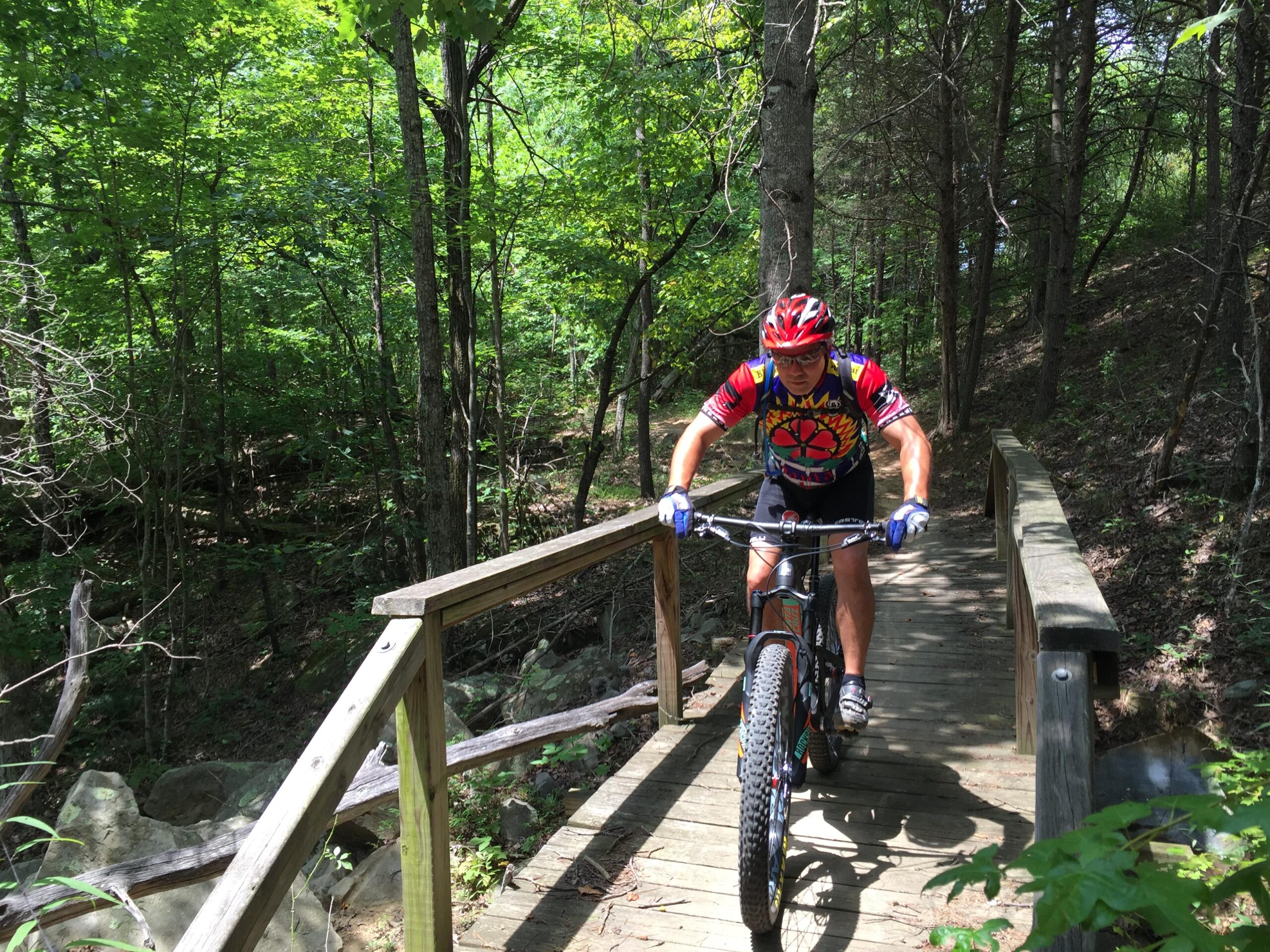 Santa Cruz Hightower 29er/27.5: A mountain biker rides across a wooden bridge in a lush, green forest. Sunlight filters through the trees, highlighting the cyclist's colorful jersey and helmet as he navigates the trail. The scene captures the spirit of outdoor adventure and mountain biking.
