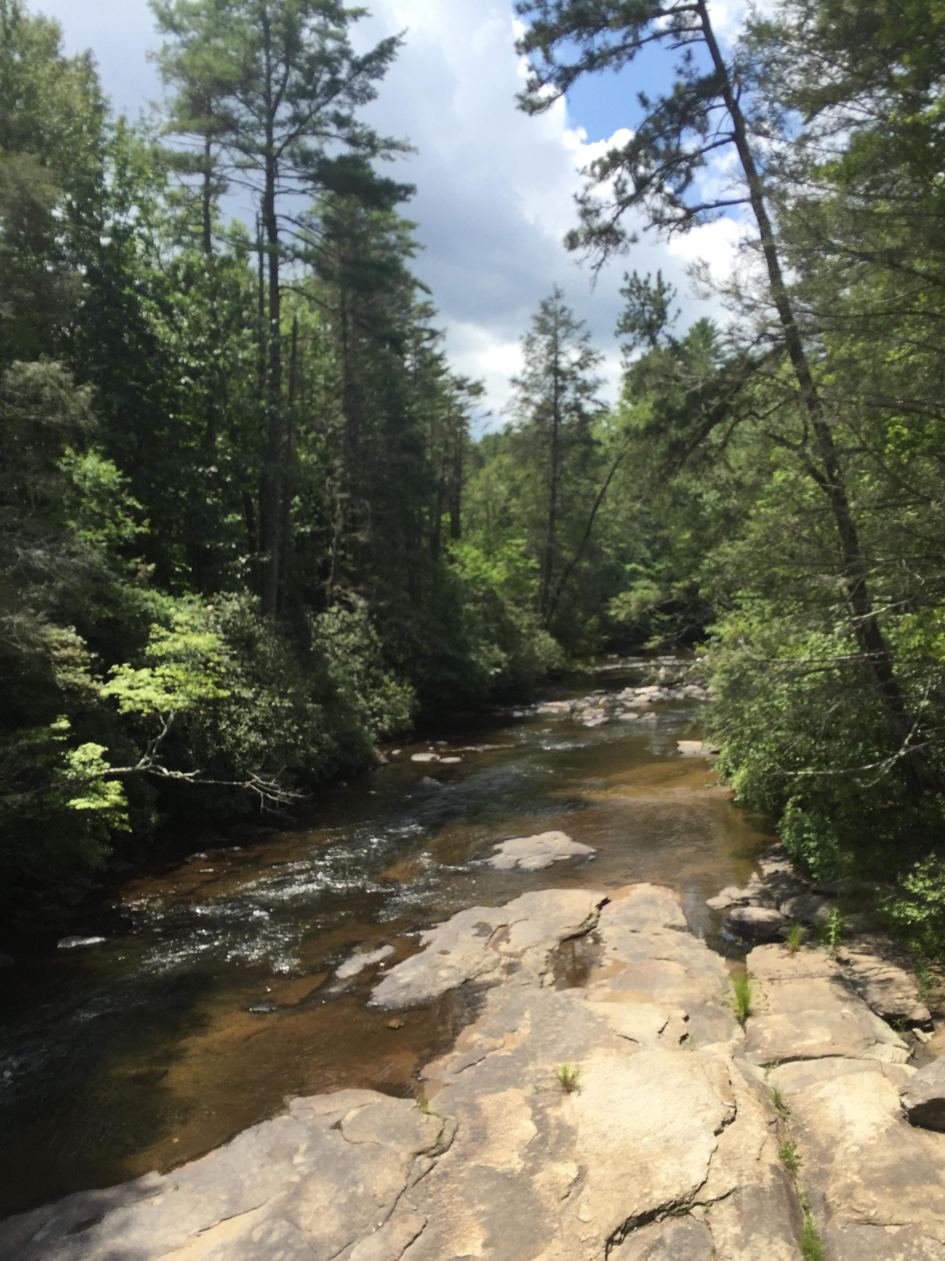 A scenic view of a calm river flowing through a forest, bordered by large rocky formations and surrounded by tall trees, with a partly cloudy sky in the background. Bent Creek mountain bike trail.