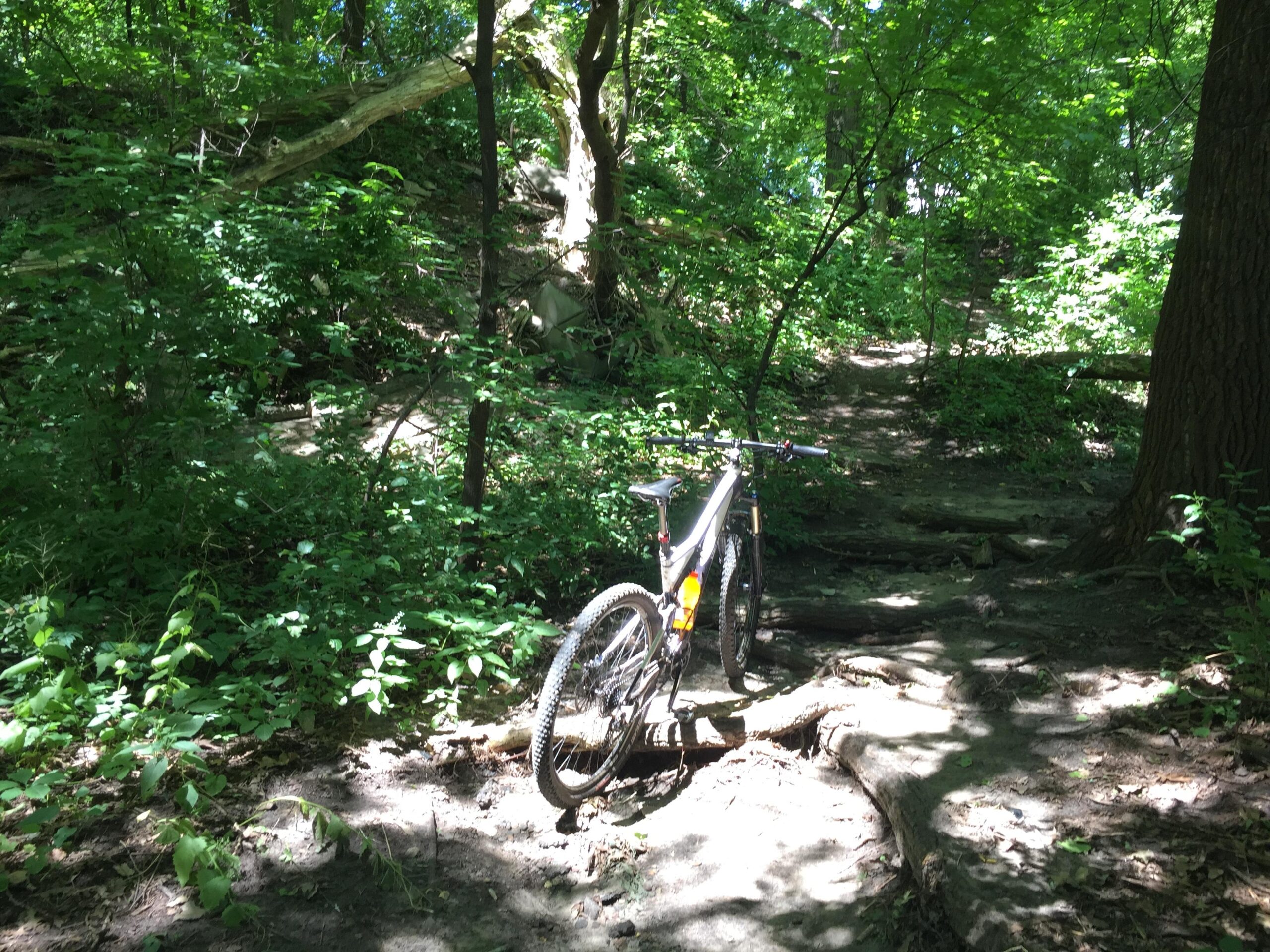 A mountain bike parked on a rocky trail surrounded by lush greenery and trees in a forested area, with sunlight filtering through the leaves. Sochacki Park mountain bike trail.