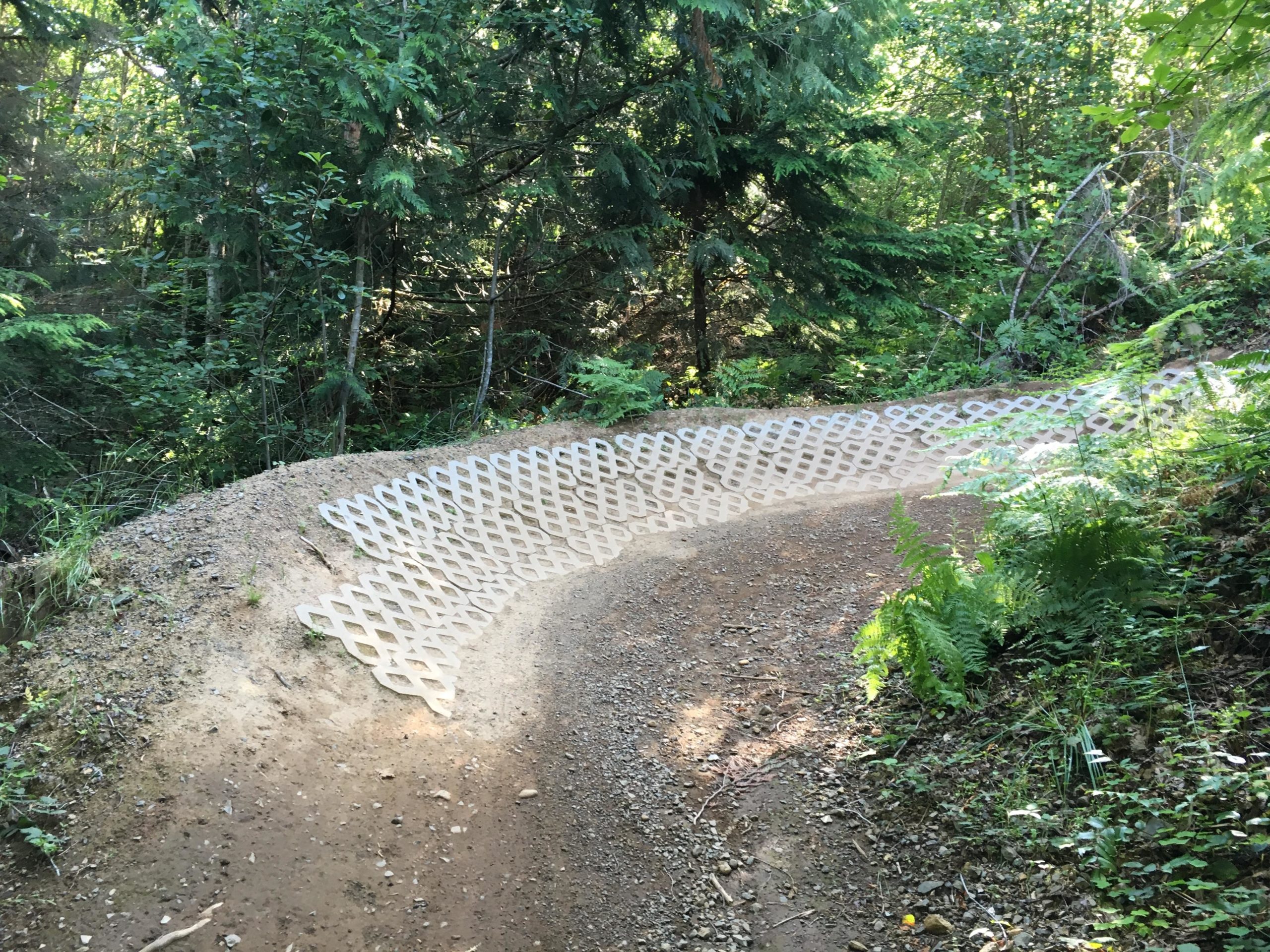 A winding dirt trail in a forested area with green foliage, featuring a section of textured material along the edge to improve grip and prevent erosion. Sandy Ridge mountain bike trail.