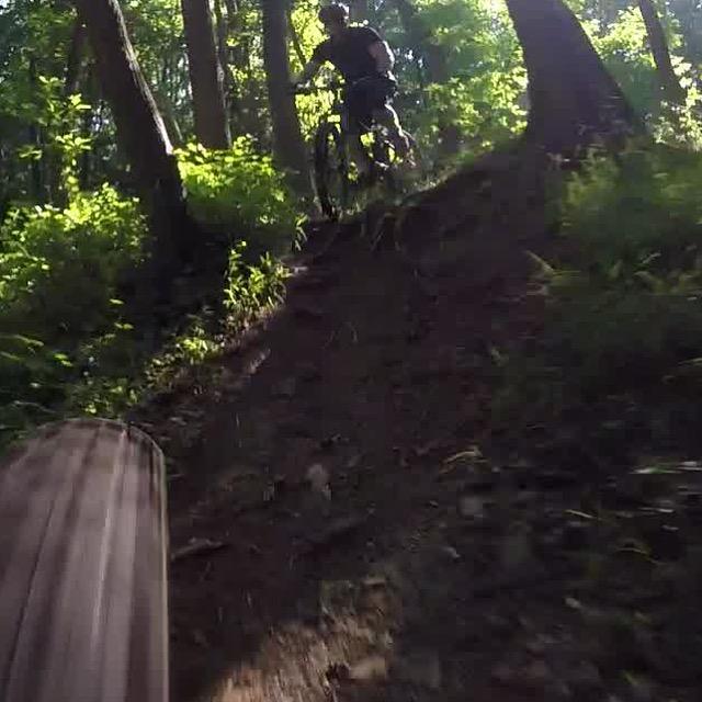 A mountain biker rides down a dirt trail in a lush, green forest, with sunlight filtering through the trees. The perspective is from the front of the bike, showcasing the steep incline of the trail and surrounding vegetation. Richmond Avenue and Forest Hill road mountain bike trail.