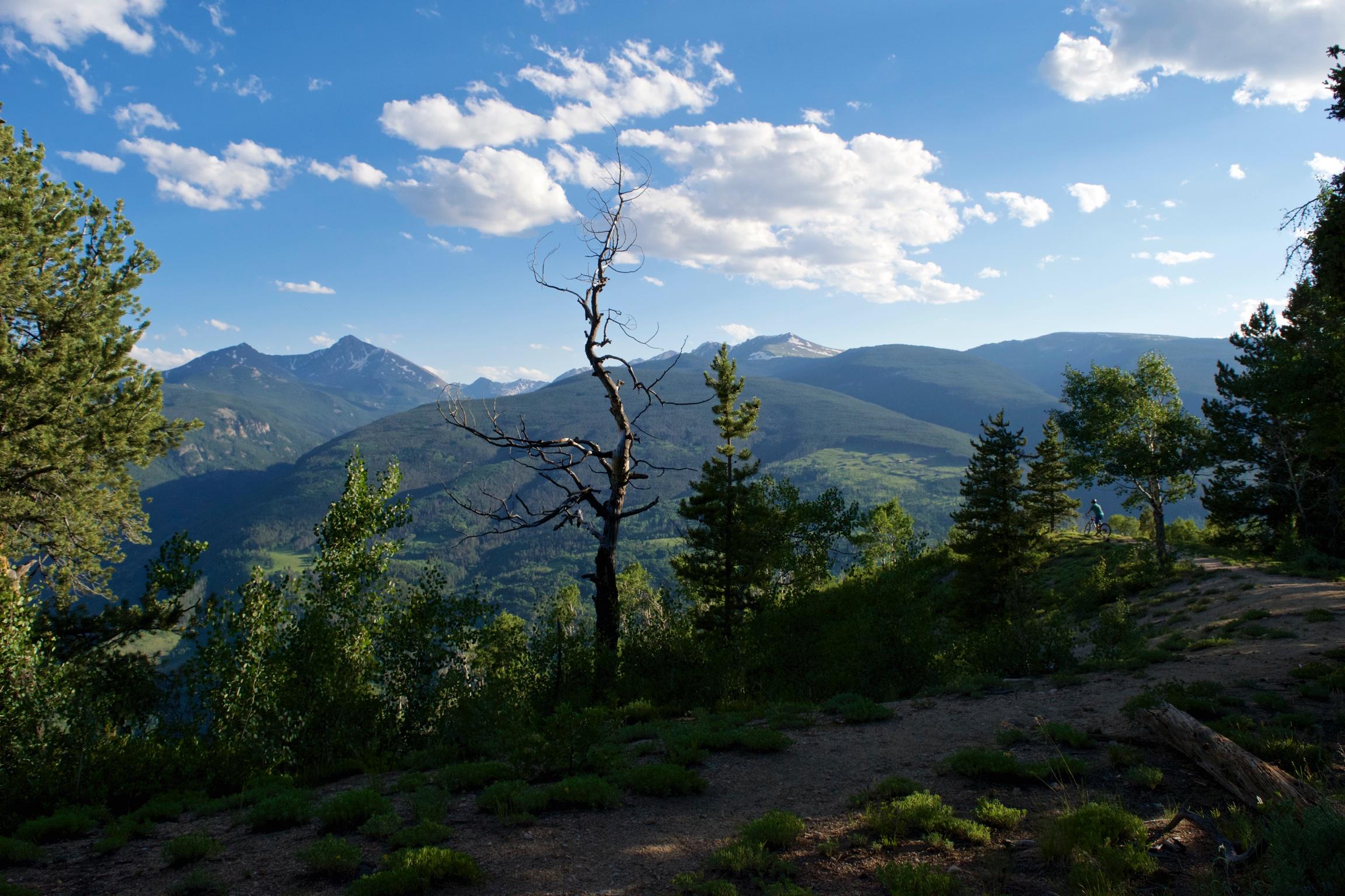 A scenic view of a mountainous landscape under a blue sky with scattered clouds. The foreground features a mix of green trees and a prominent, bare tree. In the background, snow-capped peaks rise above lush valleys, creating a serene natural setting. The scene suggests a tranquil outdoor environment, ideal for hiking or exploring. Vail Mountain Bike Park mountain bike trail.