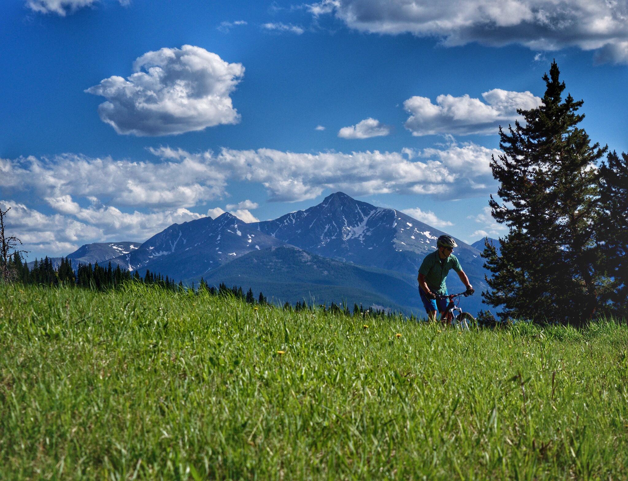 A mountain biker rides through a lush green field with tall grass, set against a backdrop of majestic mountains and a bright blue sky dotted with fluffy clouds. A conifer tree stands nearby, enhancing the natural landscape. Vail Mountain Bike Park mountain bike trail.