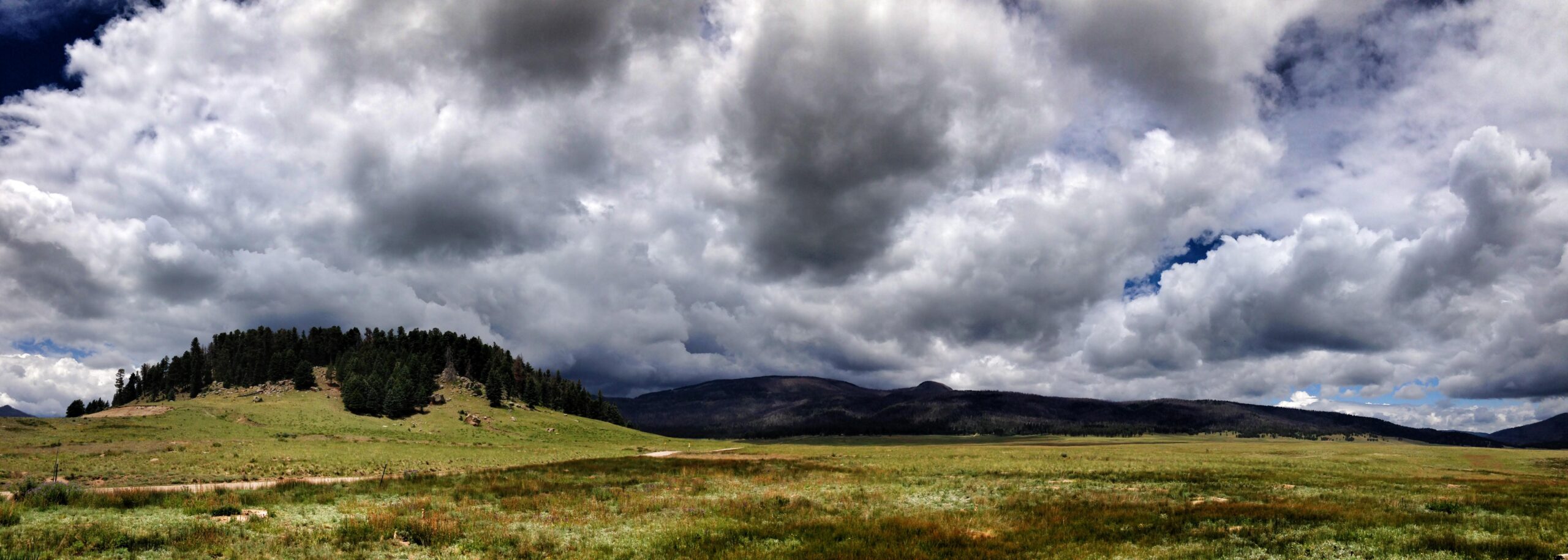 A panoramic view of a lush green landscape with a small hill covered in trees, under a dramatic sky filled with varied cloud formations. The foreground features a grassy area with shrubs, while distant mountains rise gently against the backdrop of the clouds, creating a serene and picturesque natural scene. Valles Caldera Trails mountain bike trail.