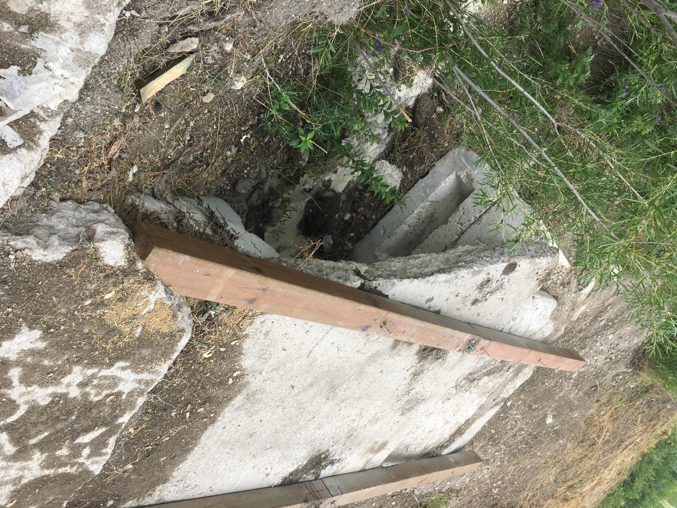 A weathered concrete surface with exposed dirt and greenery surrounding a shallow pit. A wooden plank stretches across the opening, providing a view of the uneven ground below. Bison Butte mountain bike trail.
