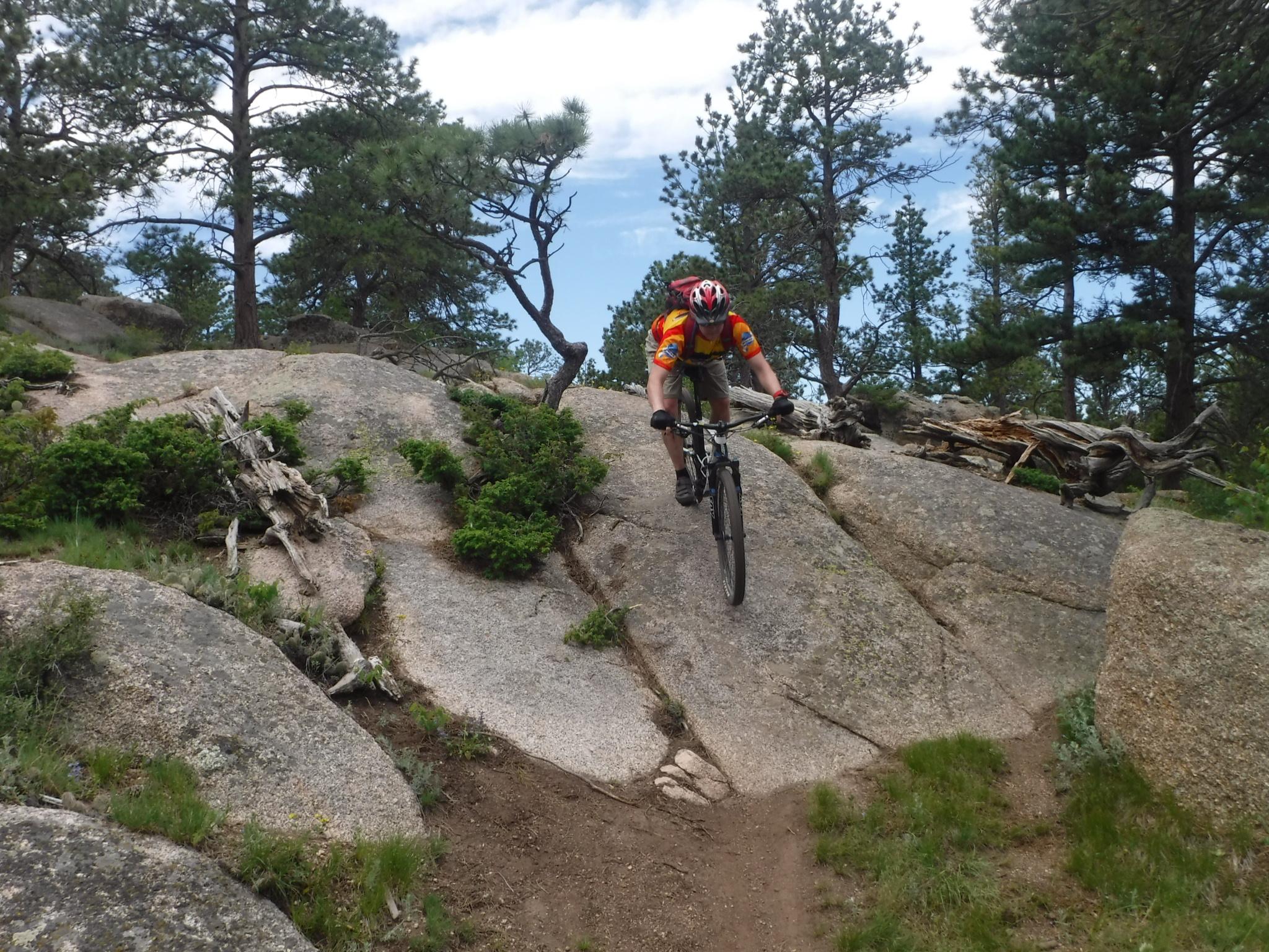 Giant Anthem: A mountain biker descending a rocky trail surrounded by trees and vegetation on a sunny day. The rider is dressed in a colorful jersey and wearing a helmet, navigating over boulders and dirt paths.