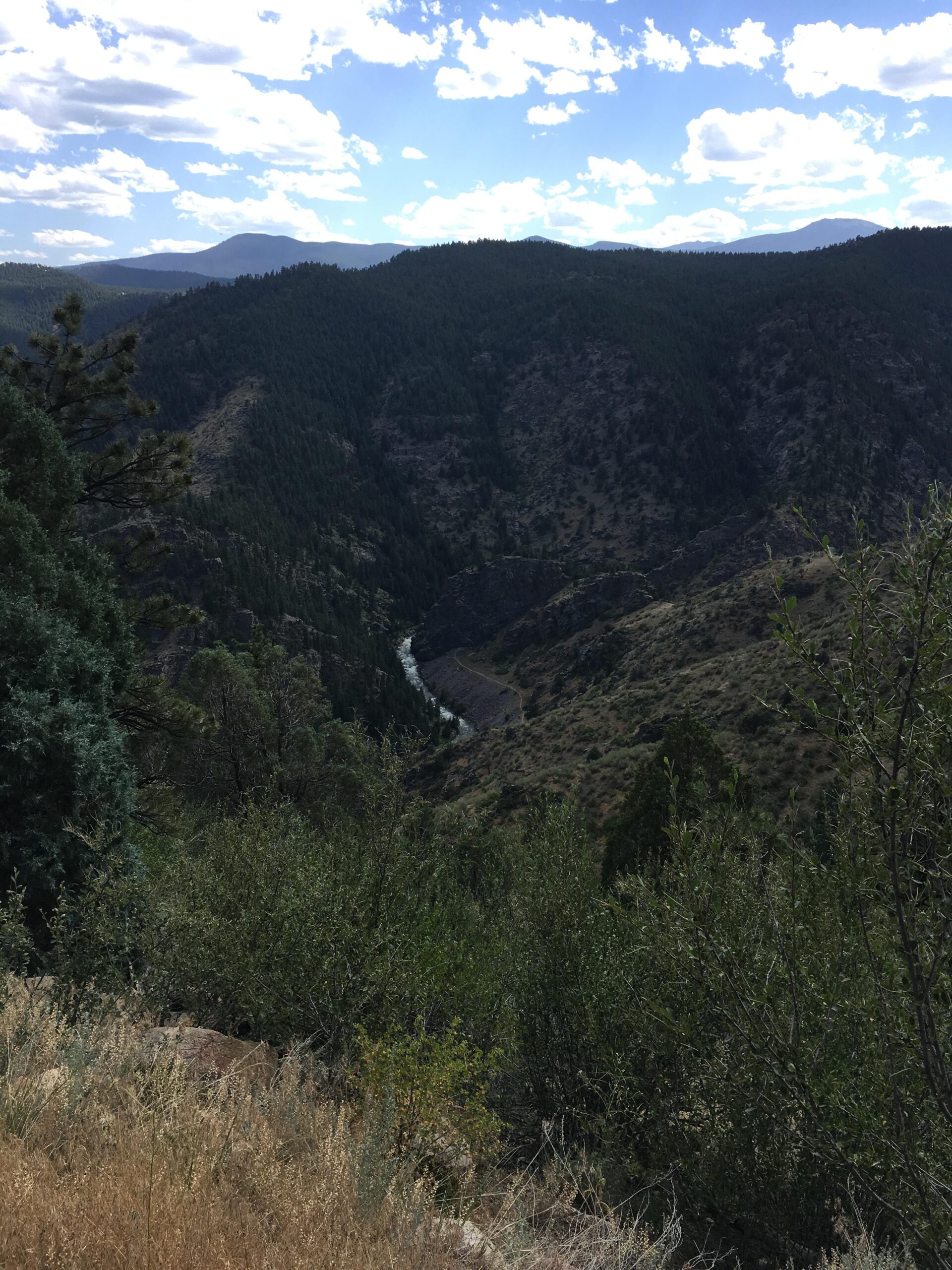 A scenic view of a mountainous landscape featuring rolling hills covered in dense green trees, with a river winding through a valley below. The sky is partly cloudy, showcasing a mix of blue and white clouds. The foreground includes patches of dry grass and shrubs. Centennial Cone Park mountain bike trail.