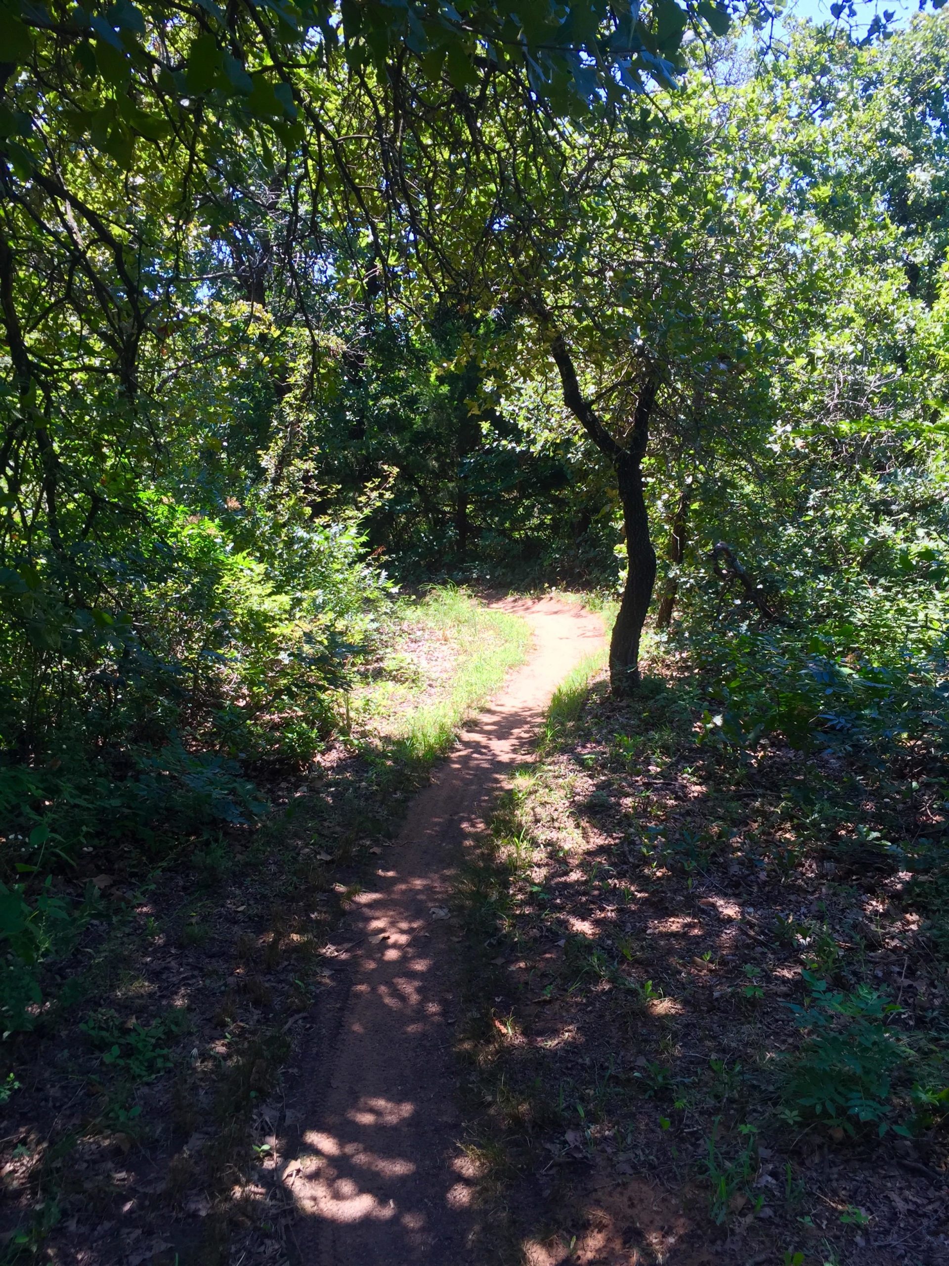 A winding dirt path surrounded by lush green foliage and trees, dappled sunlight filtering through the leaves, creating a tranquil woodland scene. Lake Stanley Draper mountain bike trail.