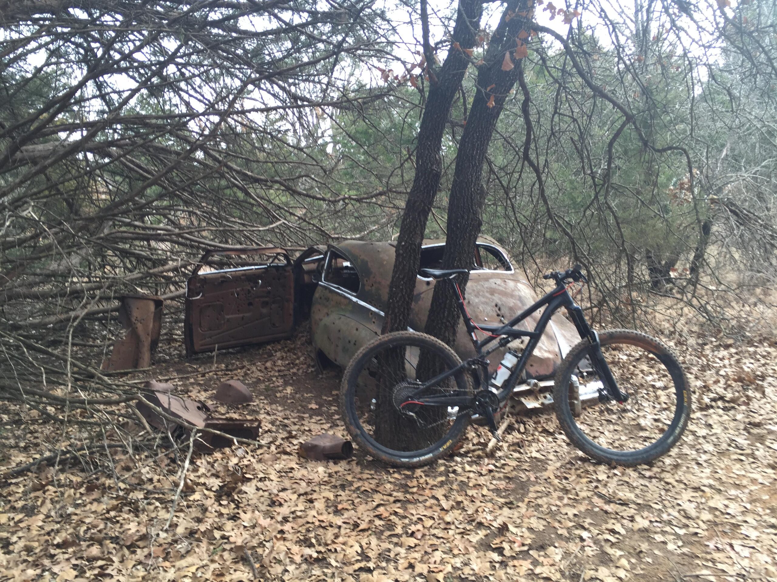 Specialized Enduro Comp 29: An abandoned, rusted car partially hidden by trees and overgrown branches, with a mountain bike leaning against a tree in the foreground. Leaves cover the ground, indicating a forested area.
