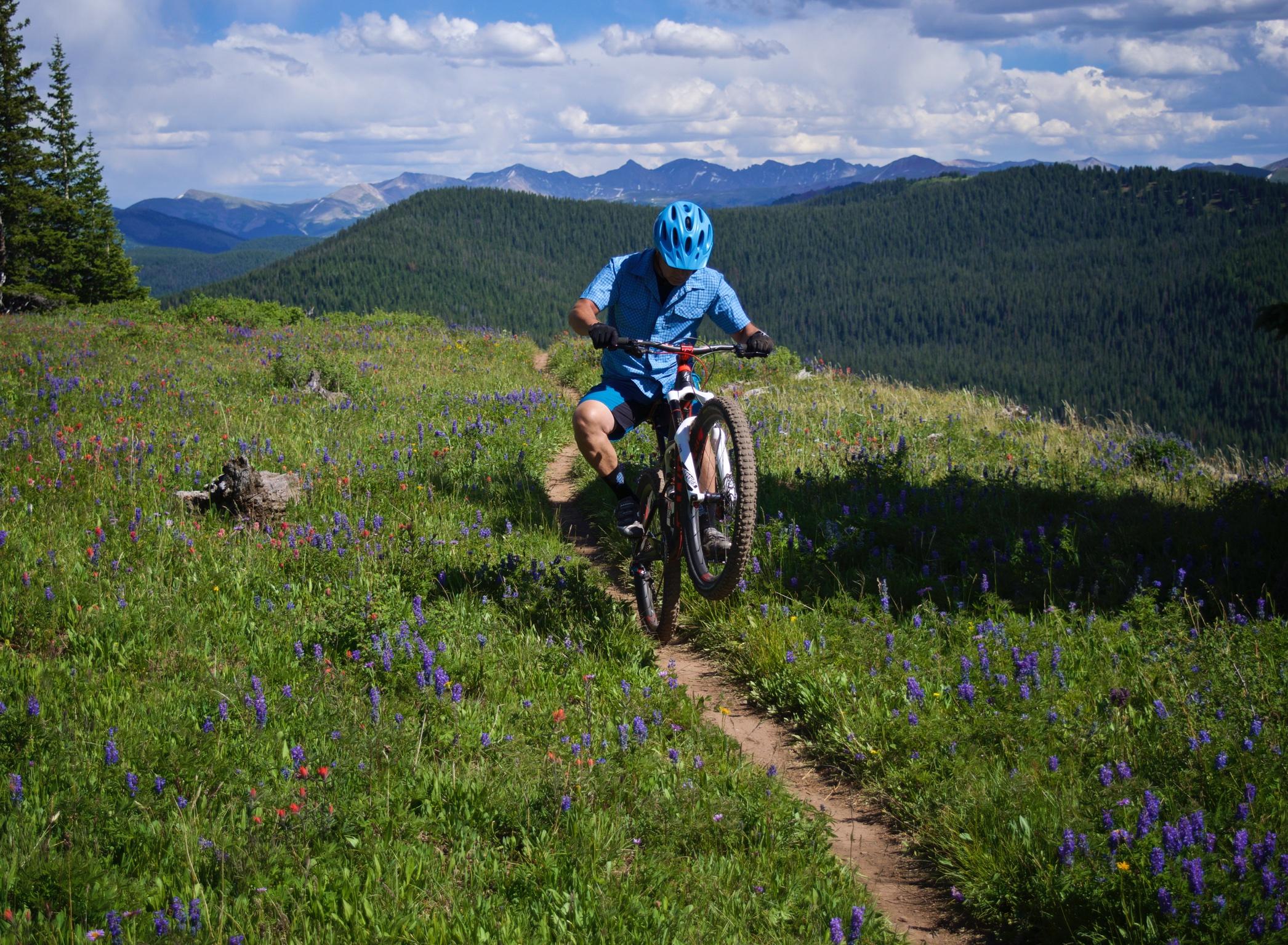 A mountain biker performing a wheelie on a dirt trail surrounded by vibrant wildflowers and lush green grass, with rolling hills and mountains in the background under a partly cloudy sky. Vail Mountain Bike Park mountain bike trail.