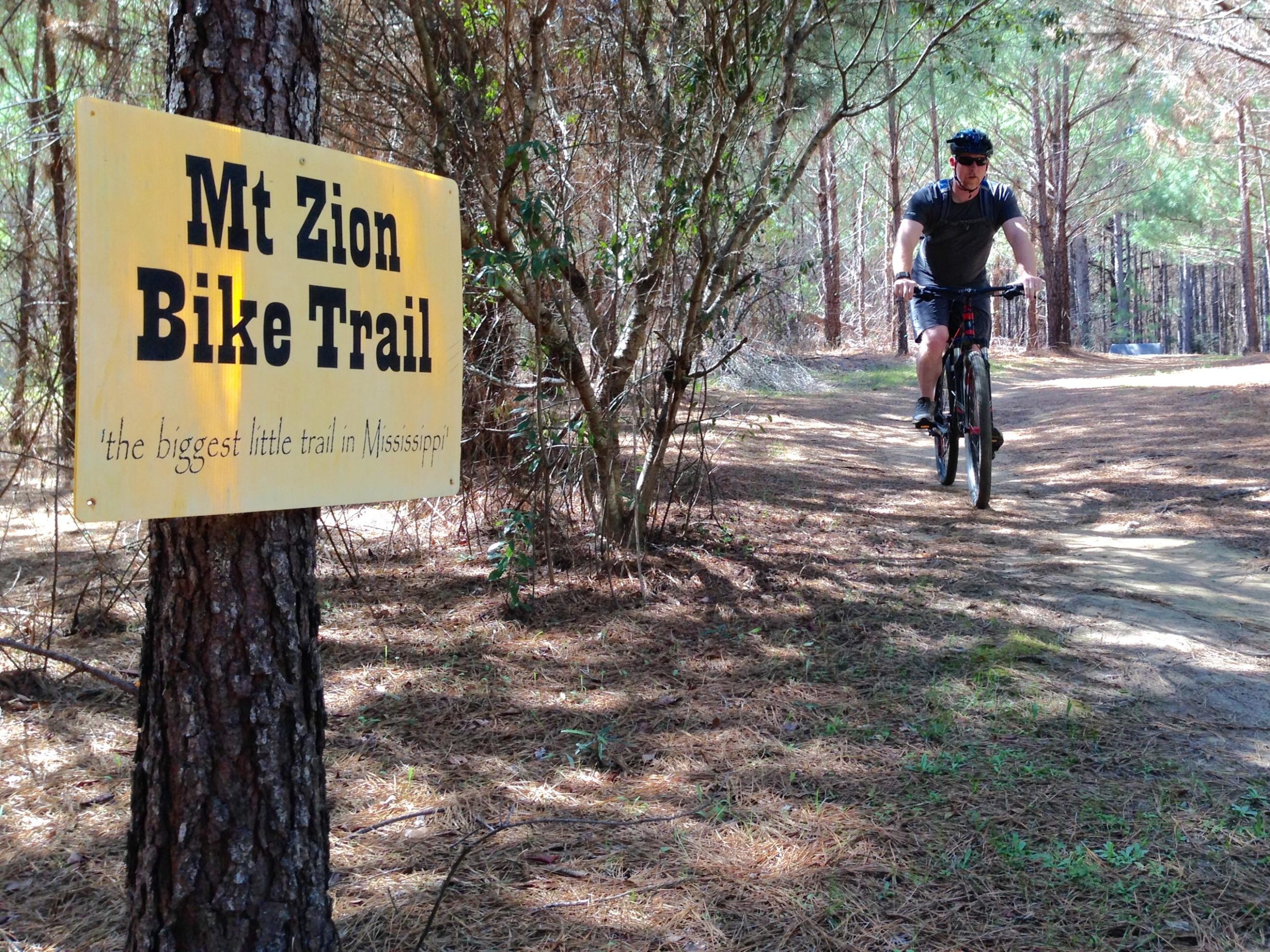 A man riding a mountain bike on a dirt trail surrounded by trees, with a signpost reading "Mt Zion Bike Trail" that promotes it as "the biggest little trail in Mississippi." The scene is sunny with a mix of sunlight and shadows on the path. Mt. Zion Bike Trails mountain bike trail.